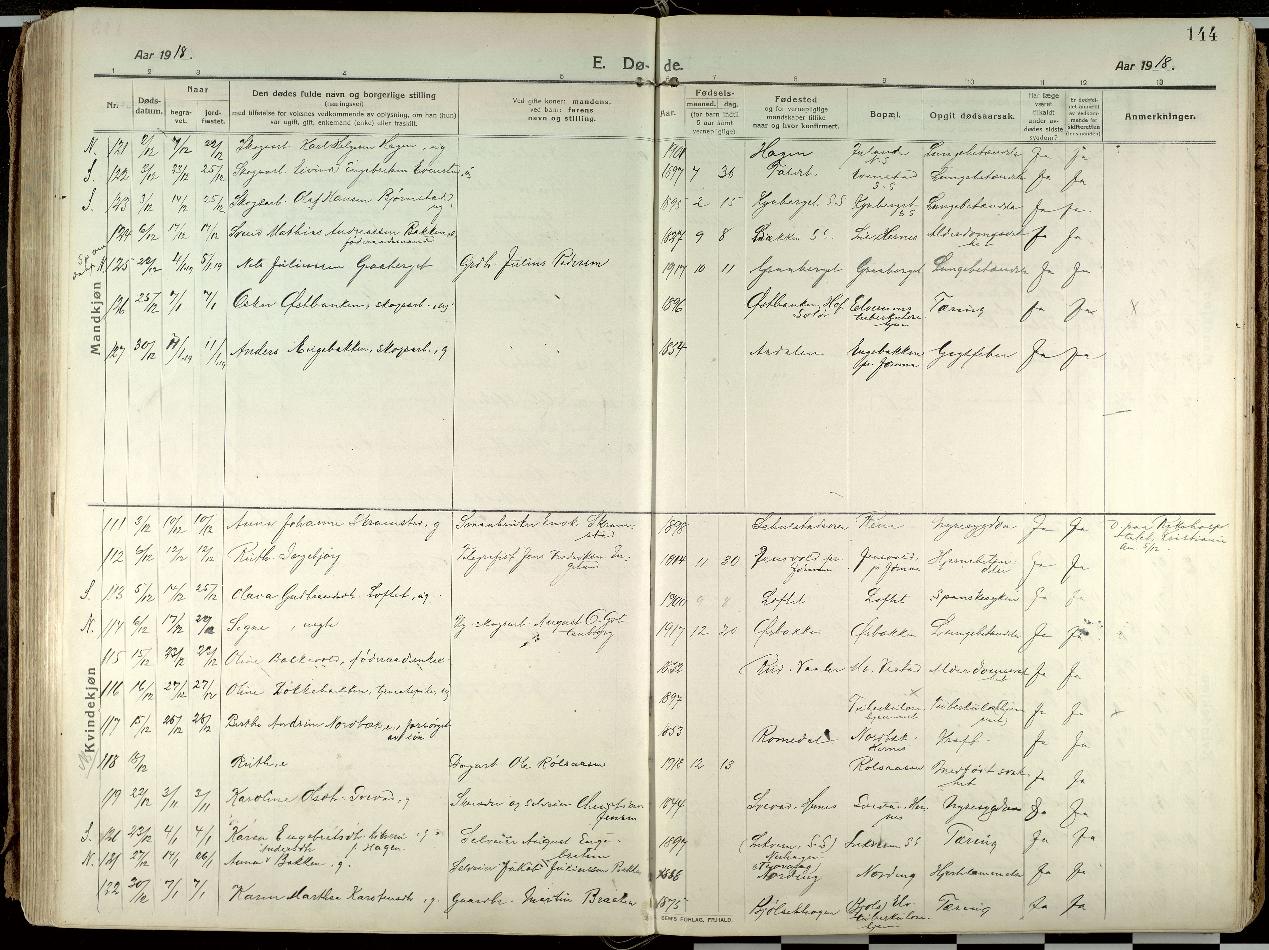 Elverum prestekontor, AV/SAH-PREST-044/H/Ha/Haa/L0021: Parish register (official) no. 21, 1913-1928, p. 144