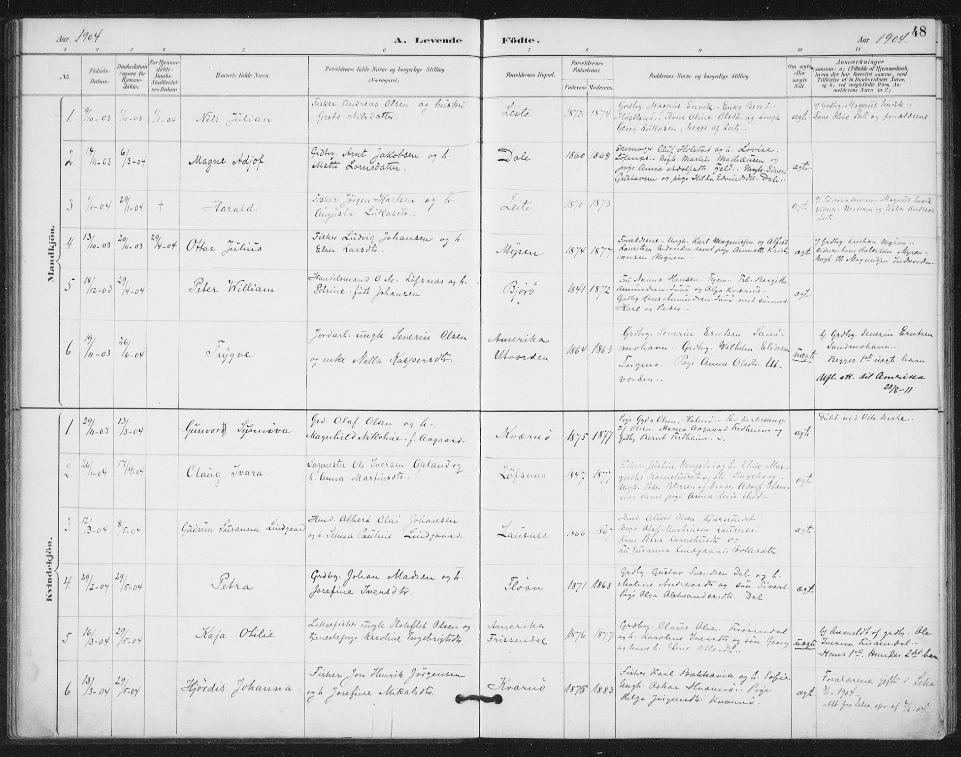 Ministerialprotokoller, klokkerbøker og fødselsregistre - Nord-Trøndelag, SAT/A-1458/772/L0603: Parish register (official) no. 772A01, 1885-1912, p. 48