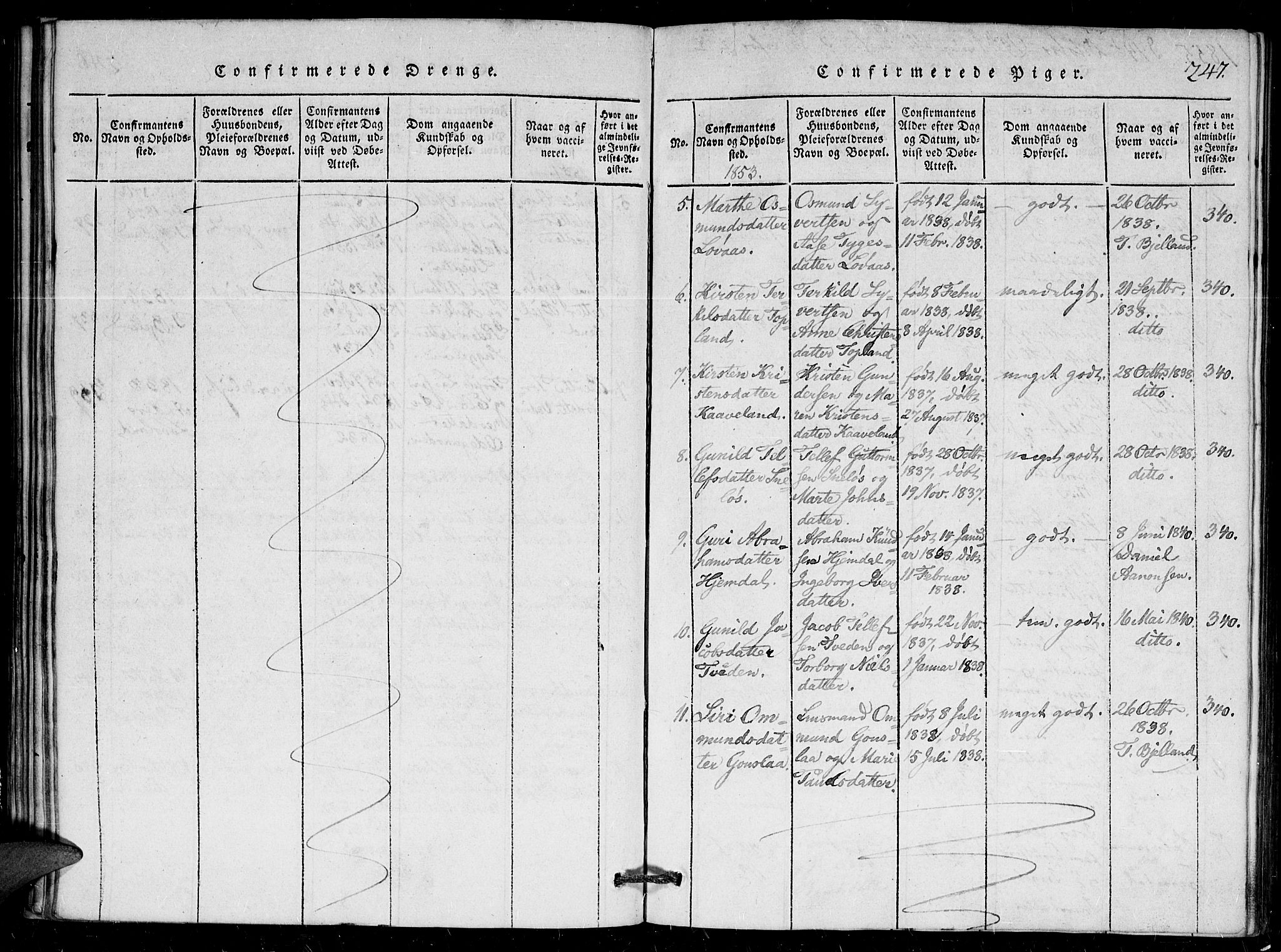 Herefoss sokneprestkontor, AV/SAK-1111-0019/F/Fa/Faa/L0001: Parish register (official) no. A 1, 1816-1860, p. 247