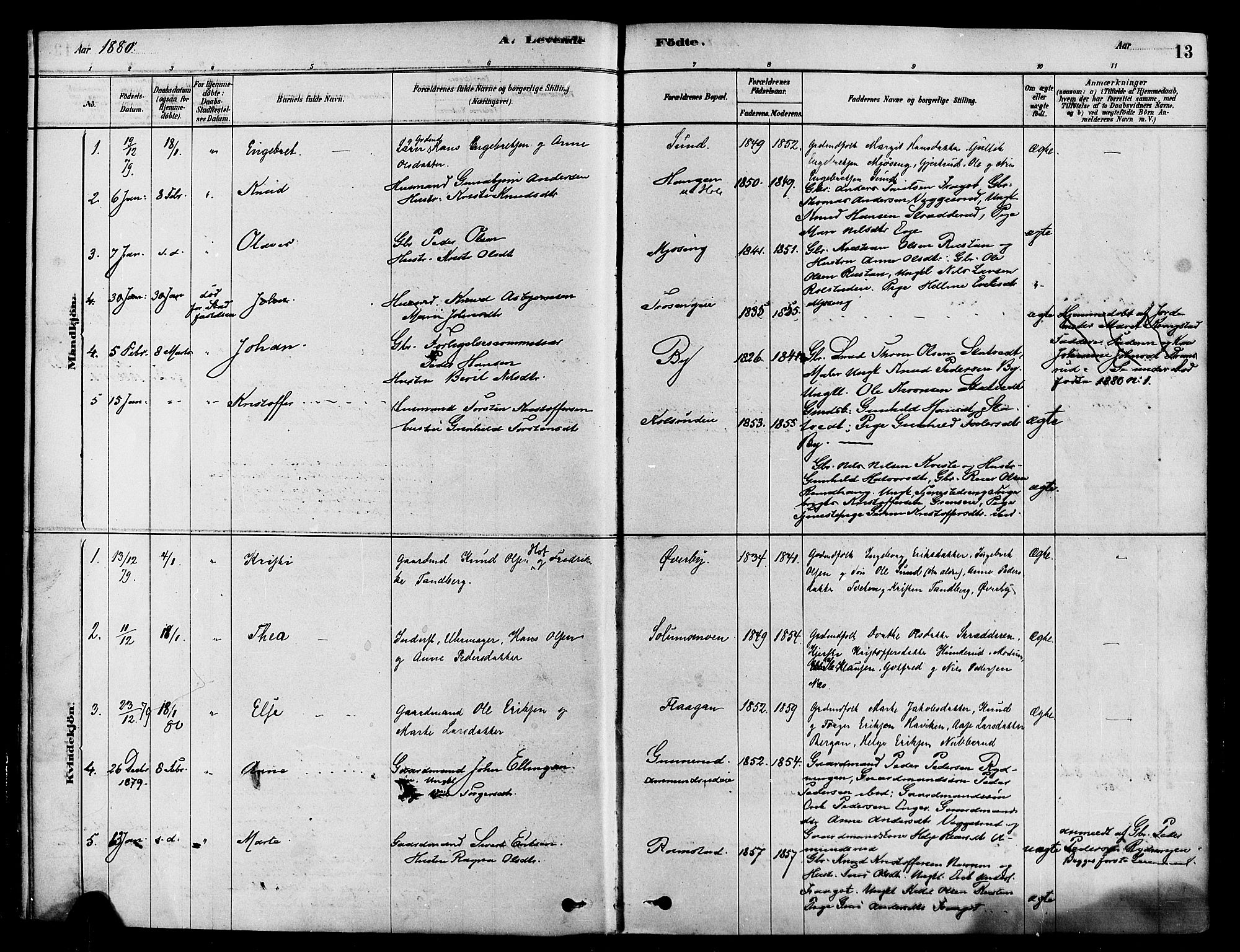 Sigdal kirkebøker, SAKO/A-245/F/Fa/L0011: Parish register (official) no. I 11, 1879-1887, p. 13