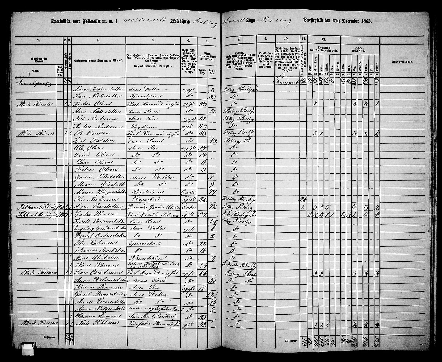 RA, 1865 census for Rollag, 1865, p. 30