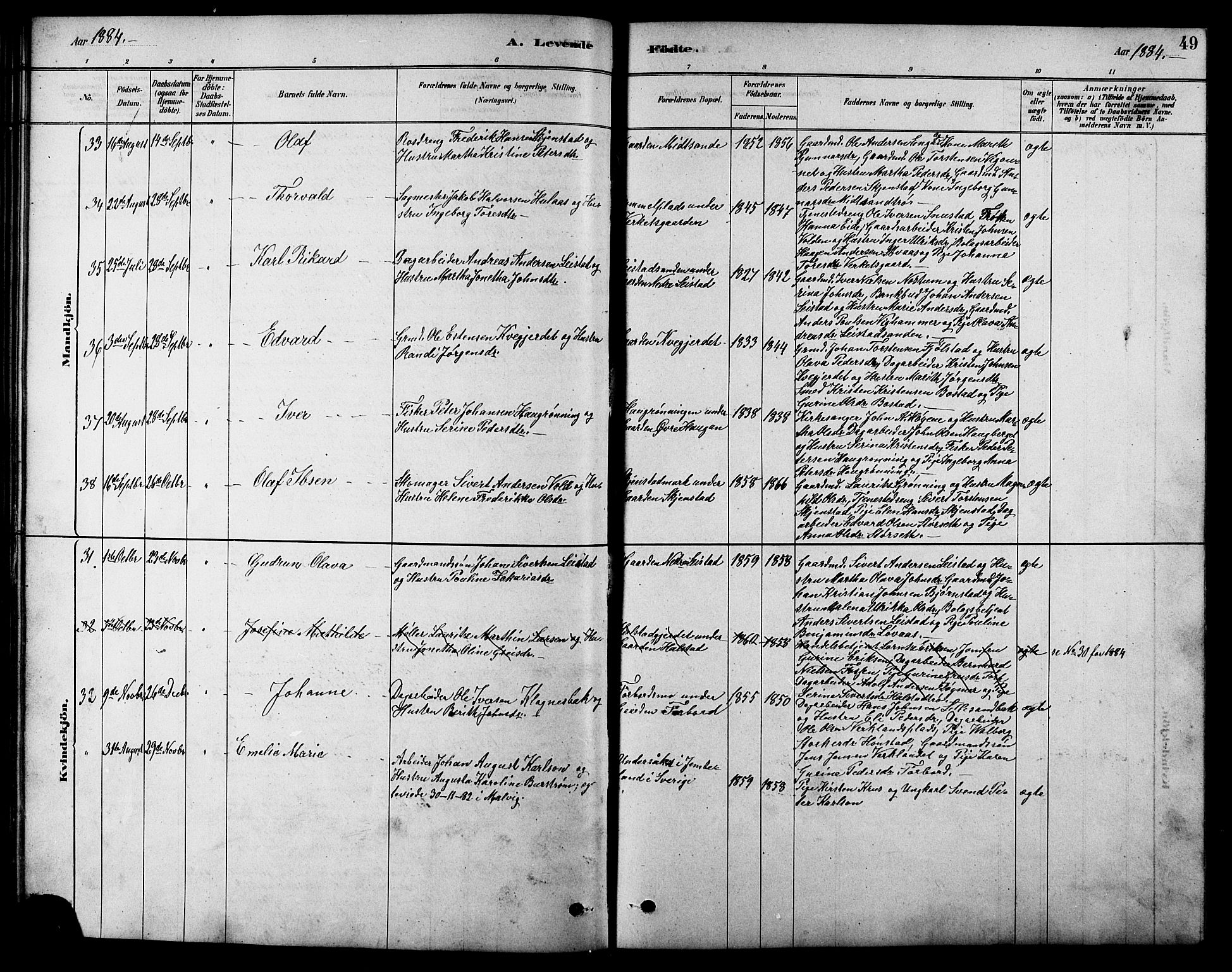 Ministerialprotokoller, klokkerbøker og fødselsregistre - Sør-Trøndelag, AV/SAT-A-1456/616/L0423: Parish register (copy) no. 616C06, 1878-1903, p. 49