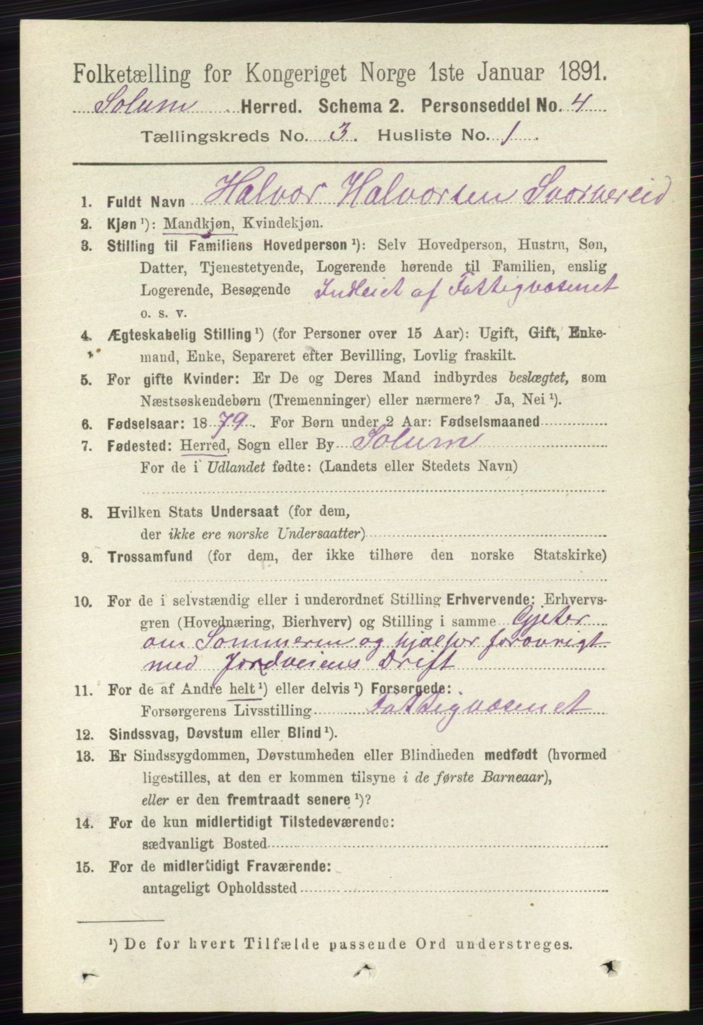 RA, 1891 census for 0818 Solum, 1891, p. 351