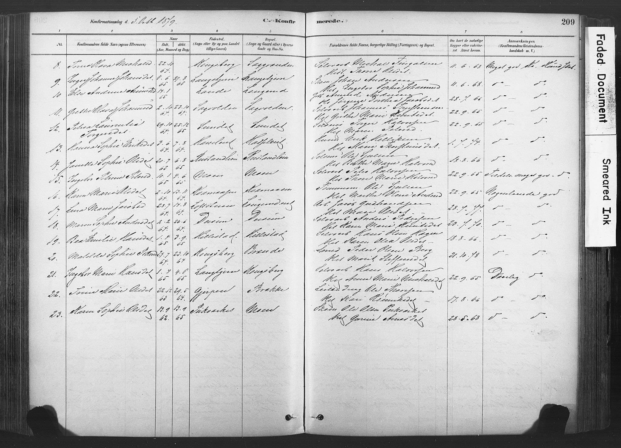 Sandsvær kirkebøker, AV/SAKO-A-244/F/Fd/L0001: Parish register (official) no. IV 1, 1878-1906, p. 209