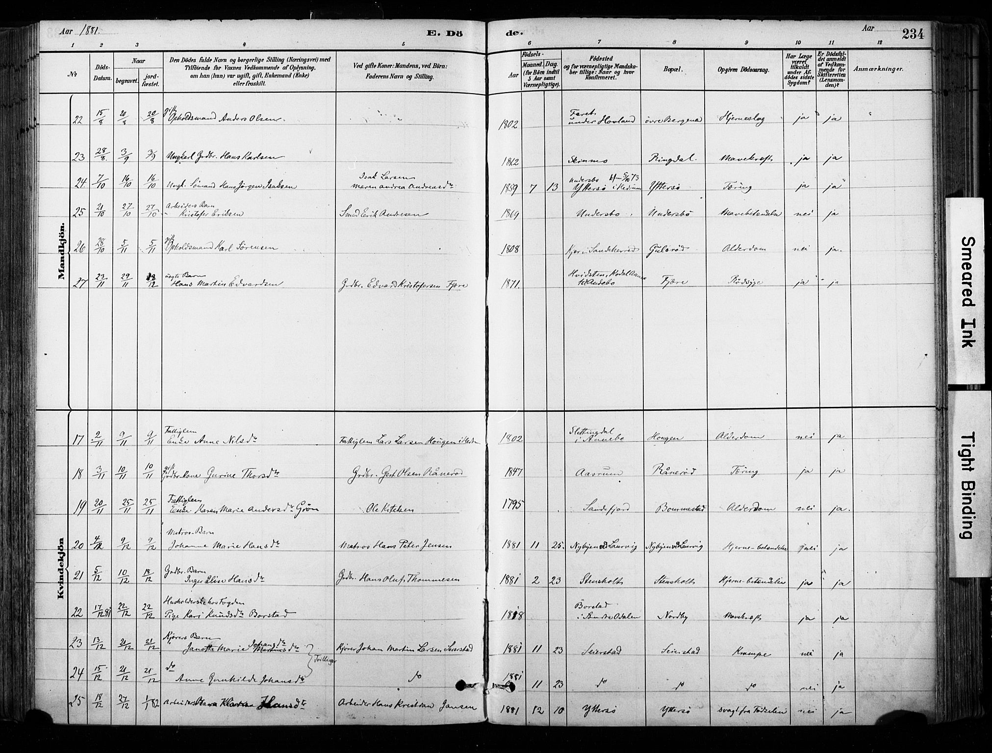 Hedrum kirkebøker, AV/SAKO-A-344/F/Fa/L0009: Parish register (official) no. I 9, 1881-1903, p. 234