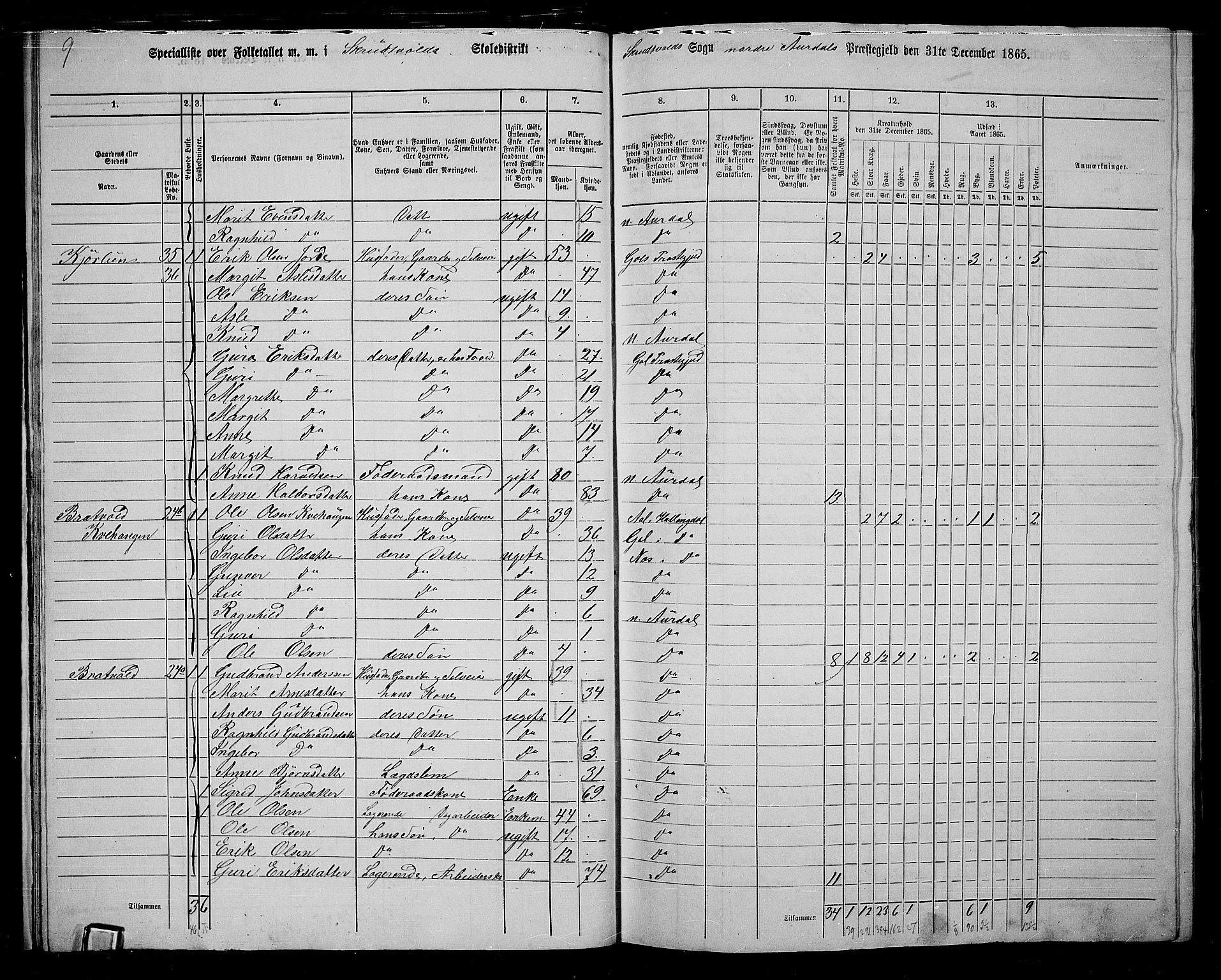 RA, 1865 census for Nord-Aurdal, 1865, p. 21