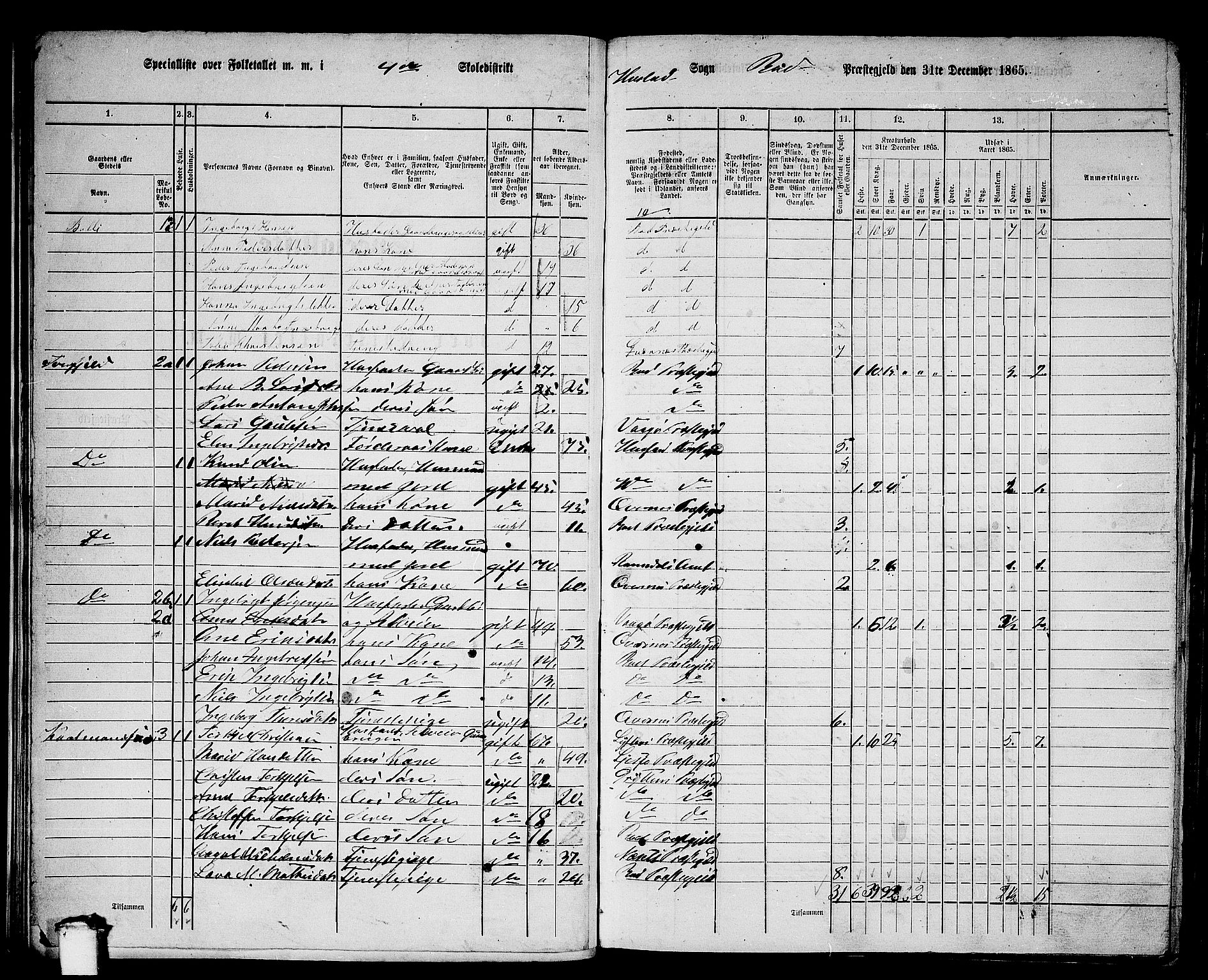 RA, 1865 census for Bud, 1865, p. 13