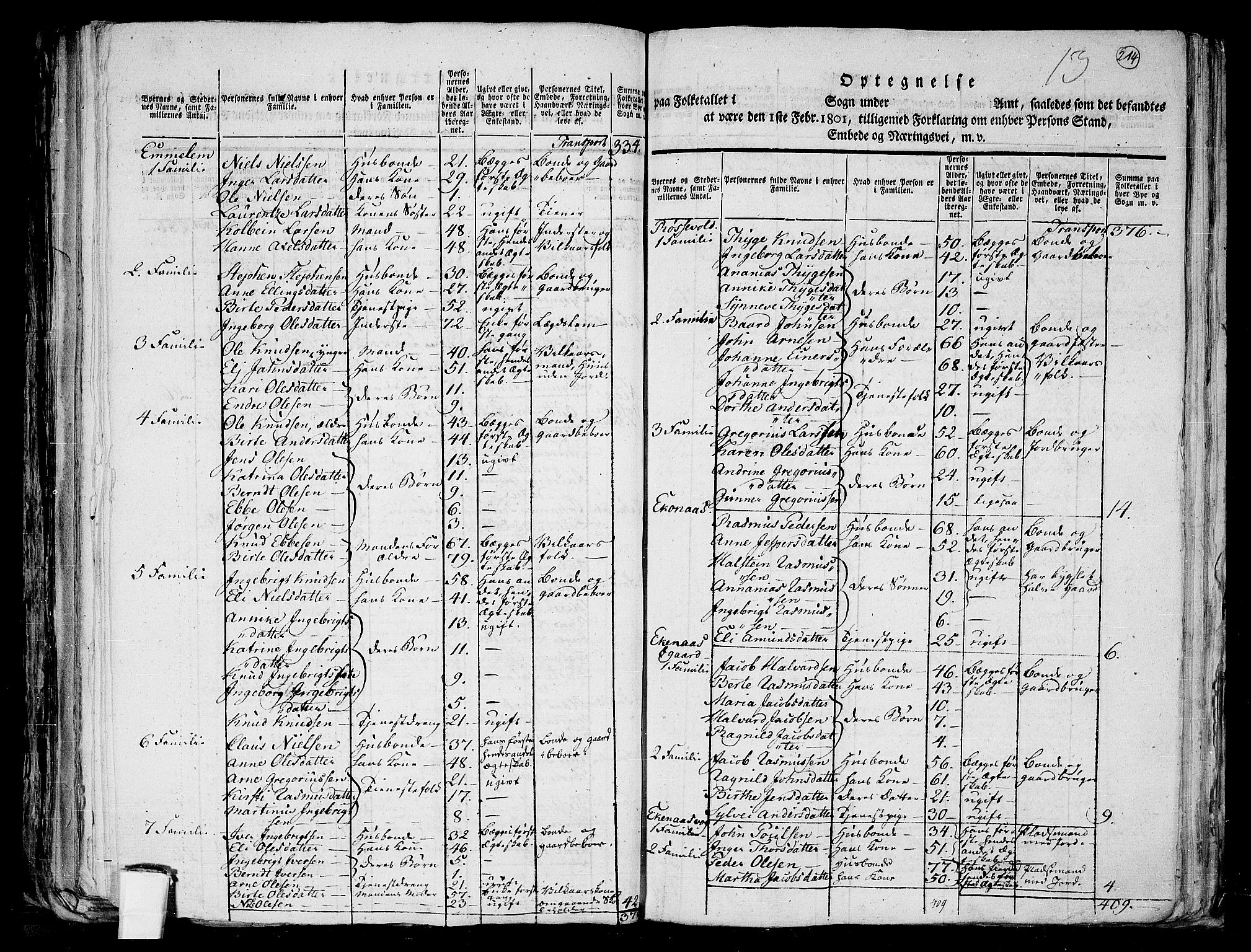 RA, 1801 census for 1531P Borgund, 1801, p. 213b-214a