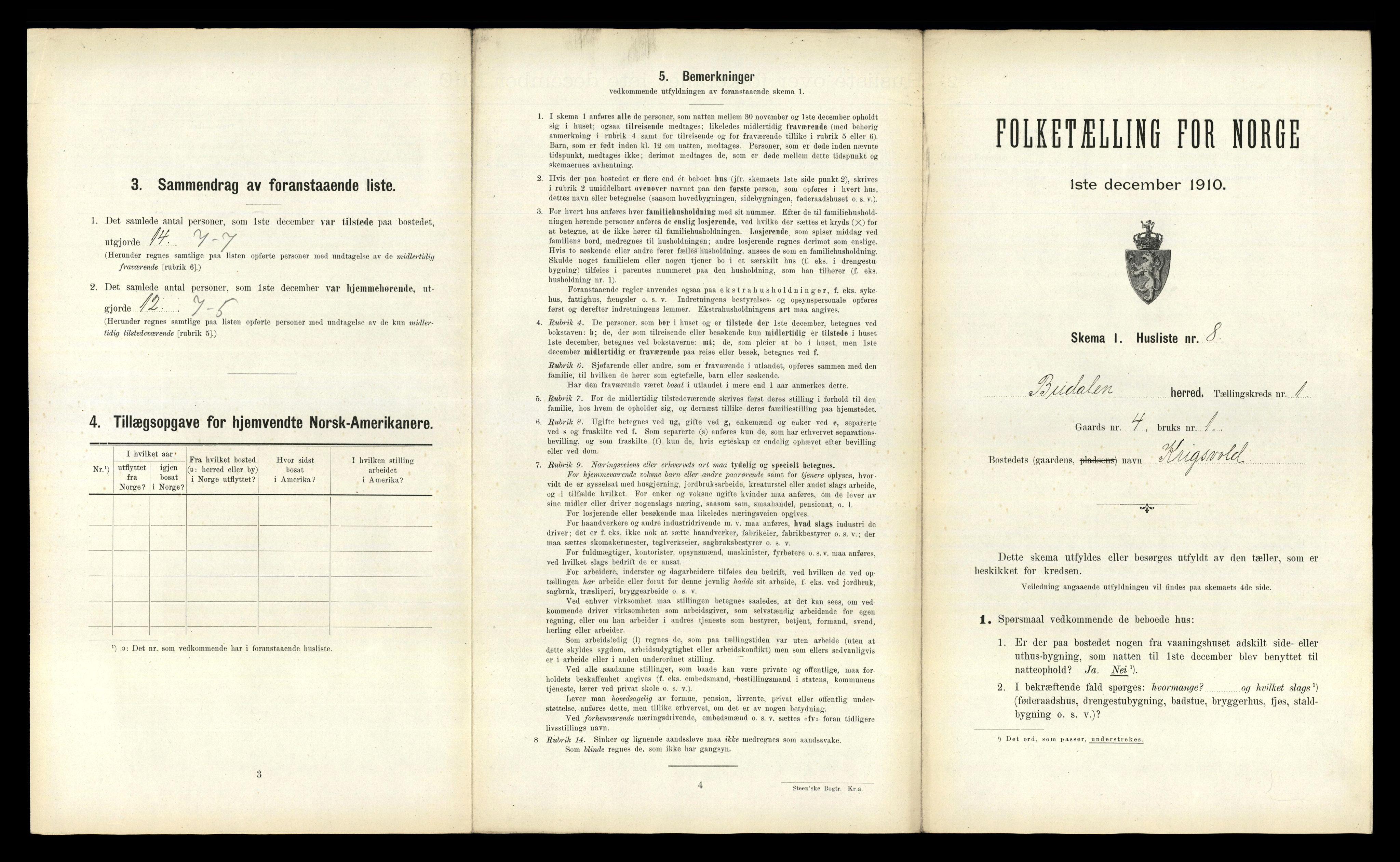 RA, 1910 census for Budal, 1910, p. 29