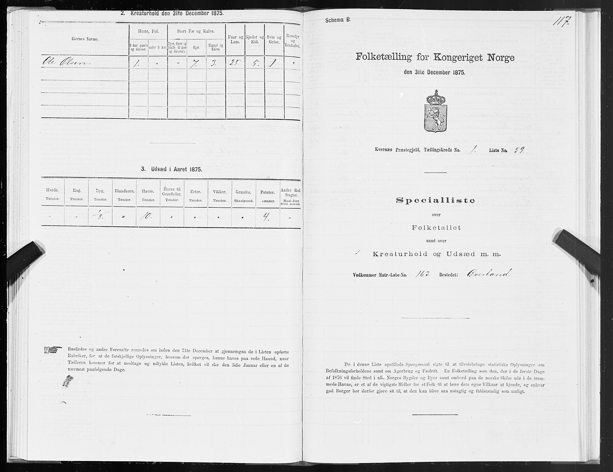 SAT, 1875 census for 1553P Kvernes, 1875, p. 1117