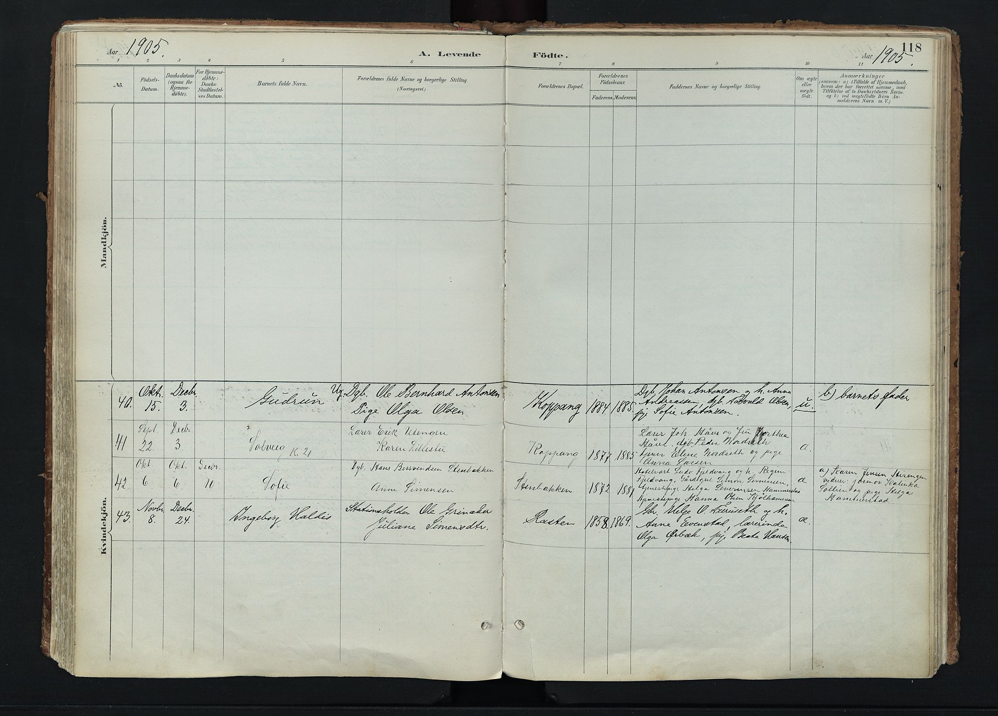 Stor-Elvdal prestekontor, SAH/PREST-052/H/Ha/Haa/L0004: Parish register (official) no. 4, 1890-1922, p. 118