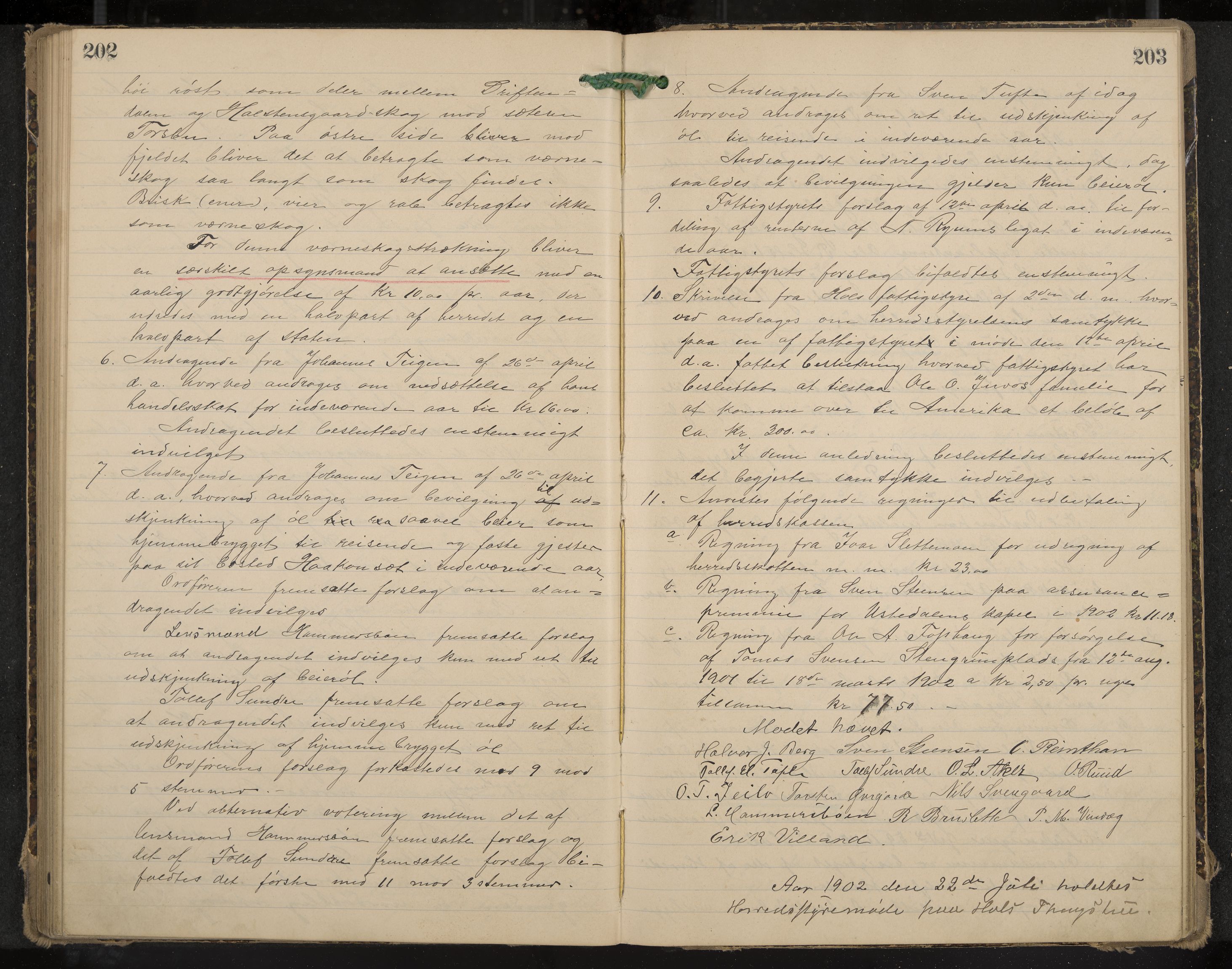 Hol formannskap og sentraladministrasjon, IKAK/0620021-1/A/L0003: Møtebok, 1897-1904, p. 202-203