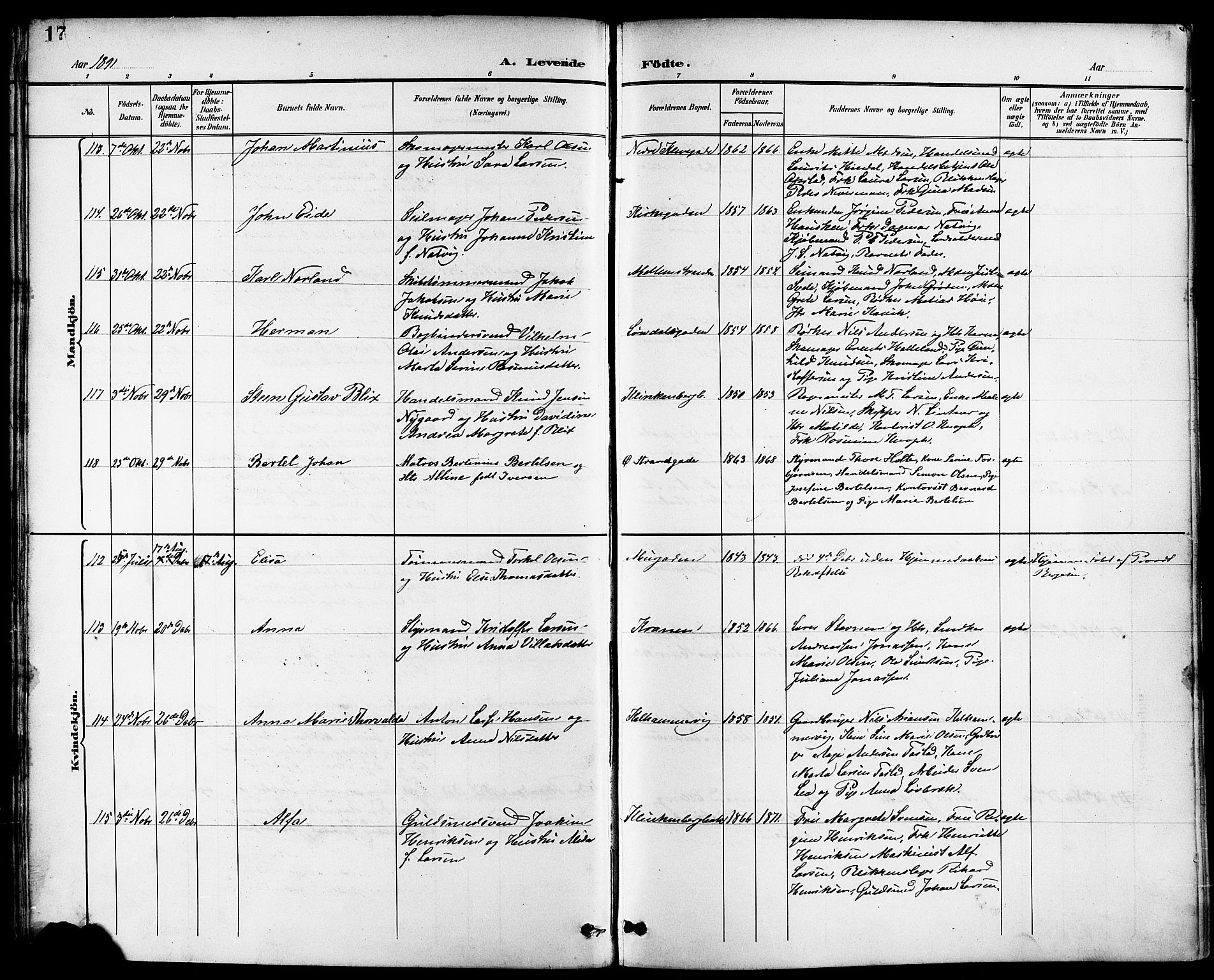 Domkirken sokneprestkontor, AV/SAST-A-101812/001/30/30BB/L0016: Parish register (copy) no. B 16, 1891-1902, p. 17