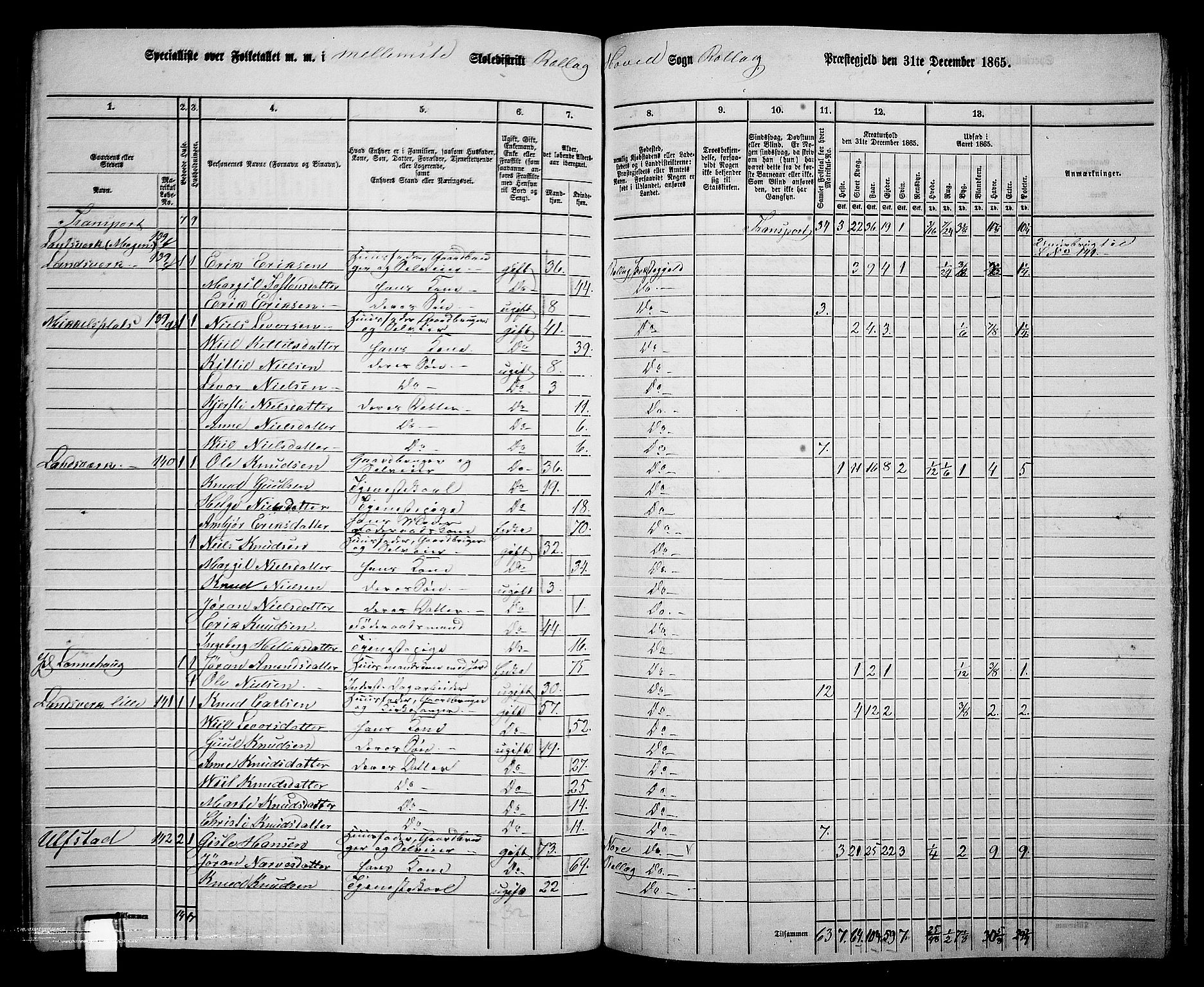 RA, 1865 census for Rollag, 1865, p. 28