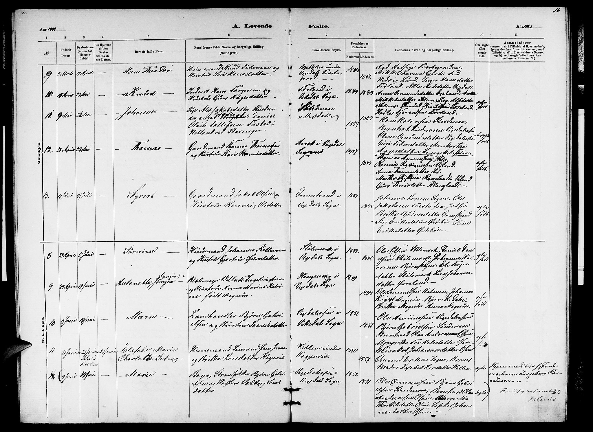 Vikedal sokneprestkontor, AV/SAST-A-101840/01/V: Parish register (copy) no. B 5, 1878-1888, p. 16