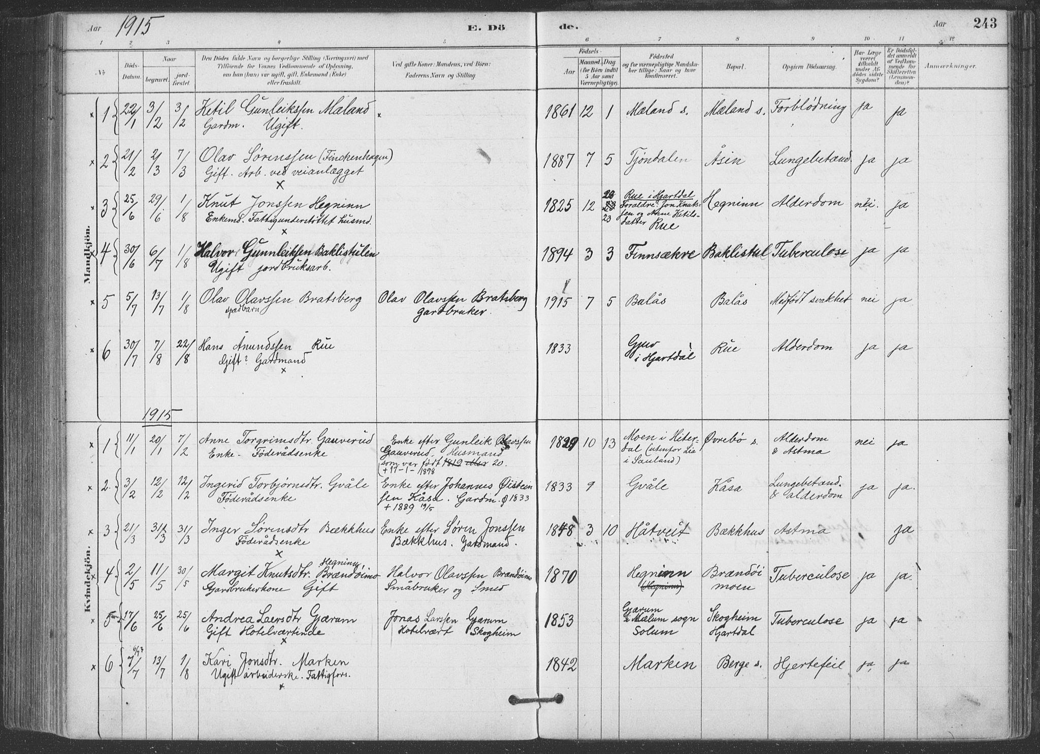 Hjartdal kirkebøker, SAKO/A-270/F/Fa/L0010: Parish register (official) no. I 10, 1880-1929, p. 243