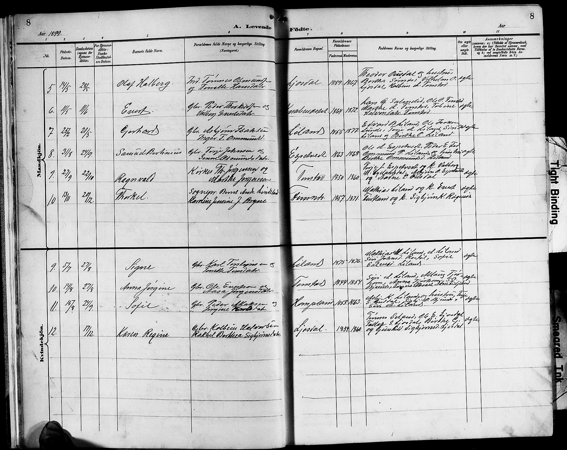 Sirdal sokneprestkontor, SAK/1111-0036/F/Fb/Fbb/L0004: Parish register (copy) no. B 4, 1895-1916, p. 8