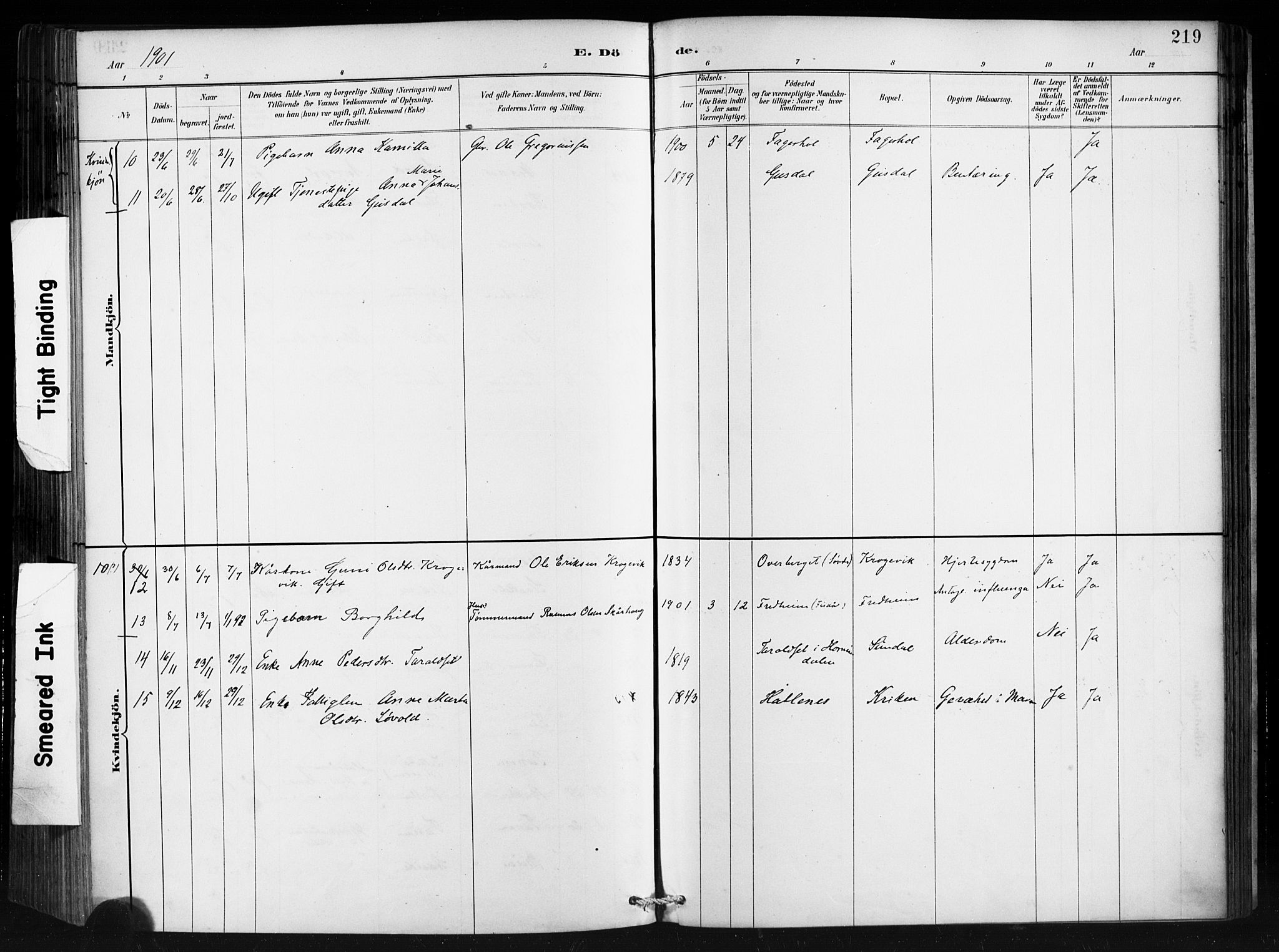 Ministerialprotokoller, klokkerbøker og fødselsregistre - Møre og Romsdal, AV/SAT-A-1454/501/L0008: Parish register (official) no. 501A08, 1885-1901, p. 219