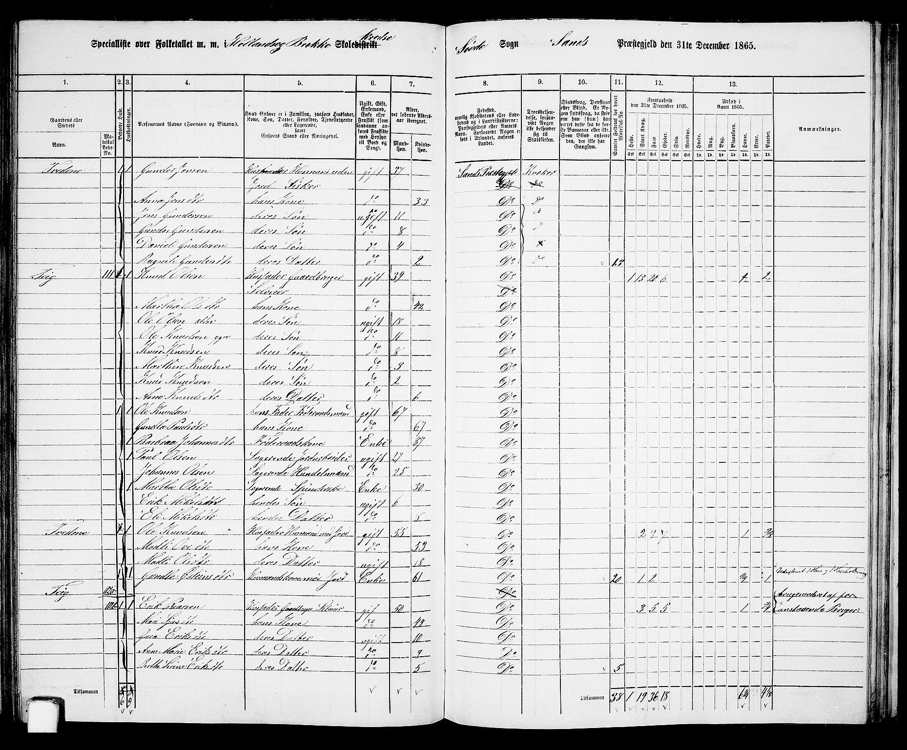 RA, 1865 census for Sand, 1865, p. 124