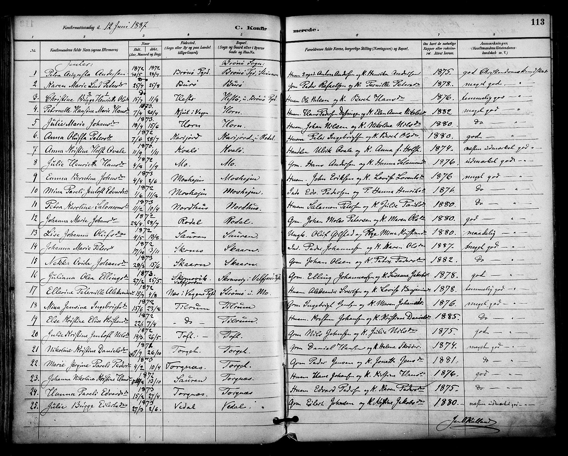 Ministerialprotokoller, klokkerbøker og fødselsregistre - Nordland, AV/SAT-A-1459/813/L0200: Parish register (official) no. 813A10, 1886-1900, p. 113