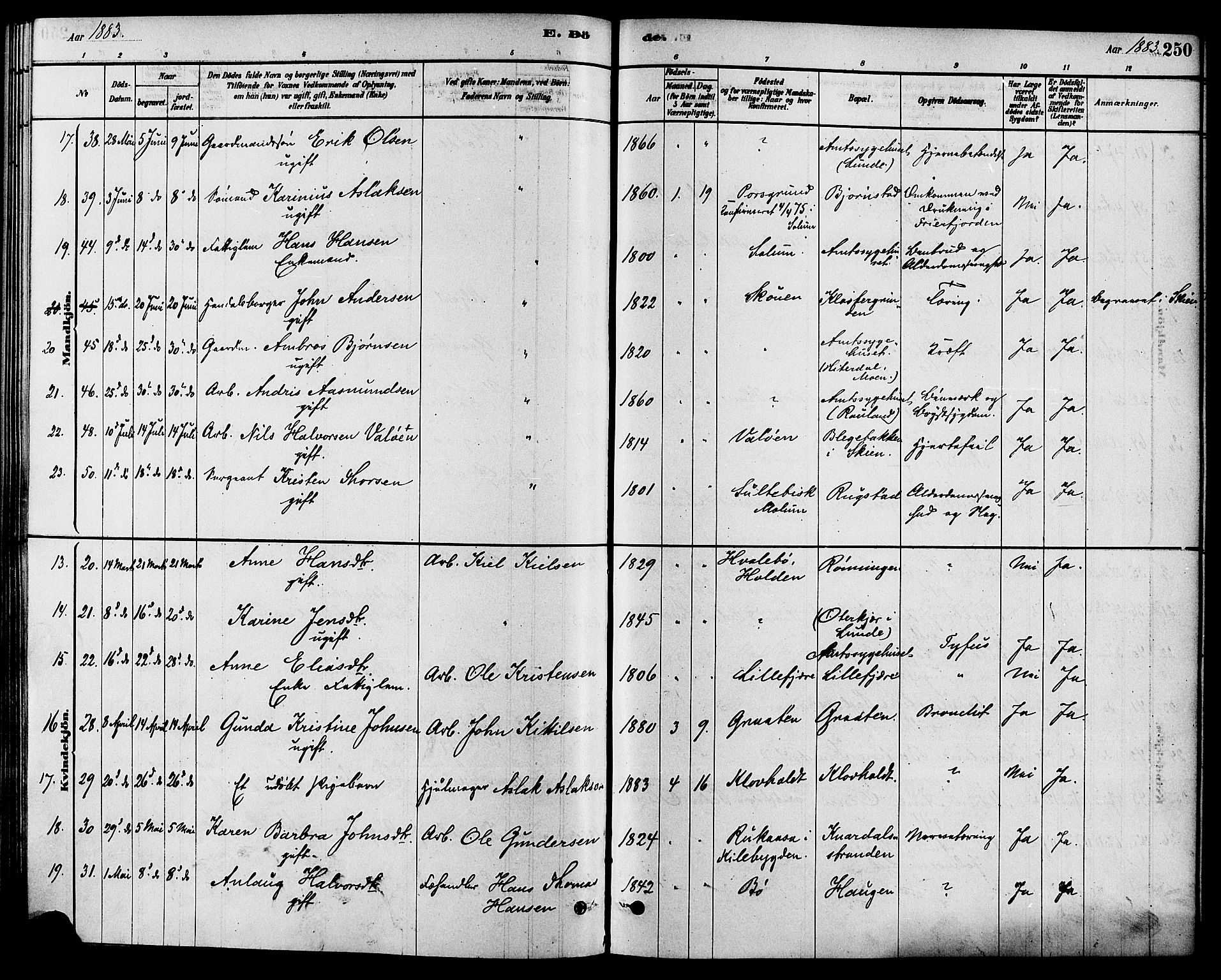 Solum kirkebøker, AV/SAKO-A-306/F/Fa/L0009: Parish register (official) no. I 9, 1877-1887, p. 250