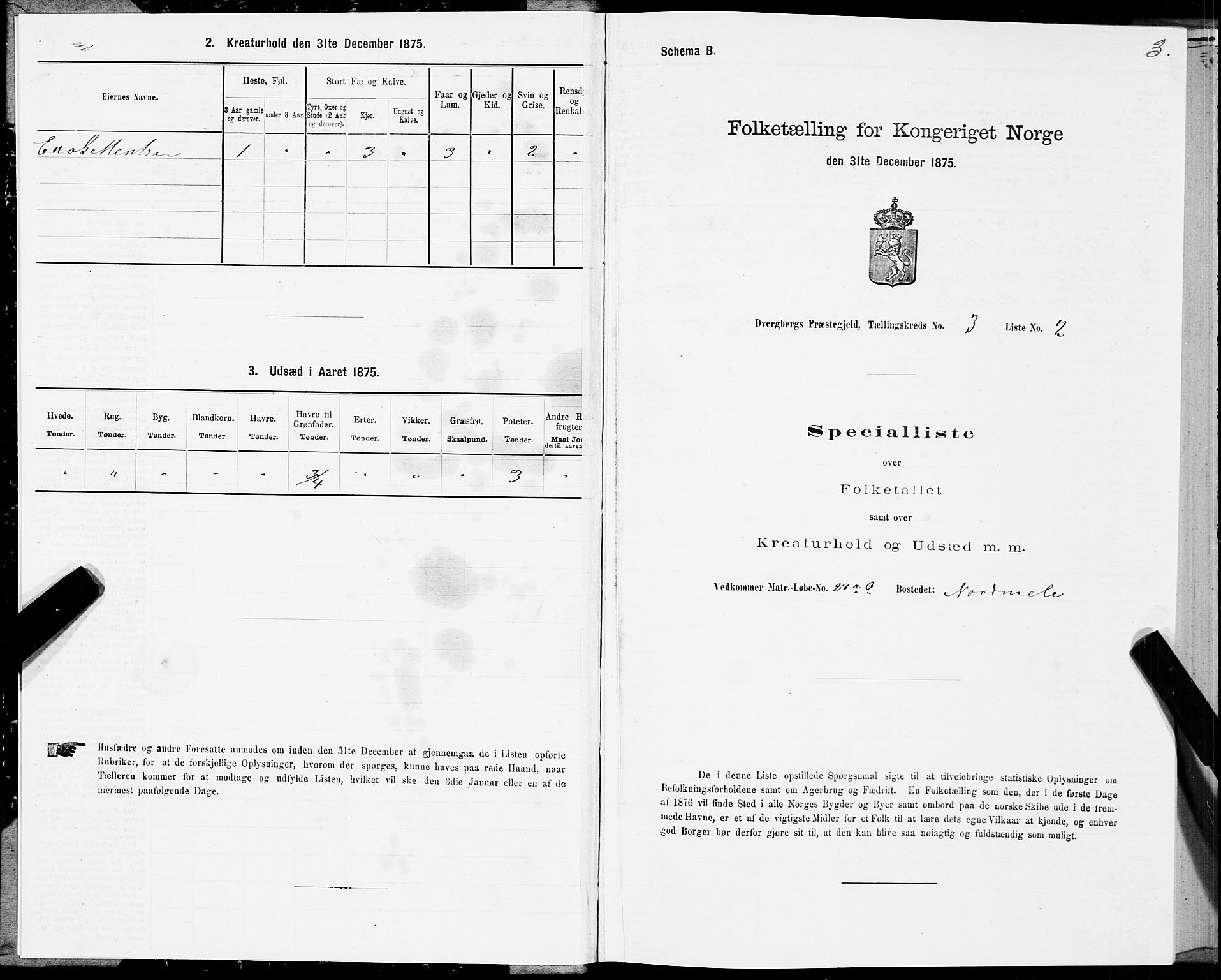 SAT, 1875 census for 1872P Dverberg, 1875, p. 2003