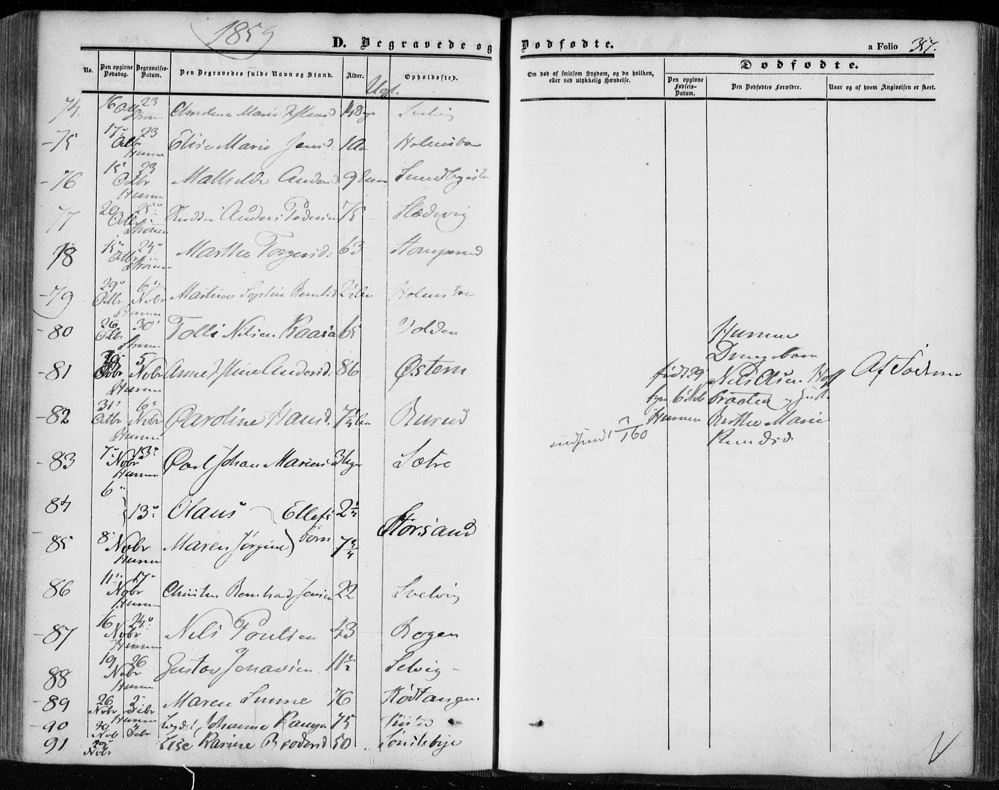 Hurum kirkebøker, AV/SAKO-A-229/F/Fa/L0011: Parish register (official) no. 11, 1847-1860, p. 357