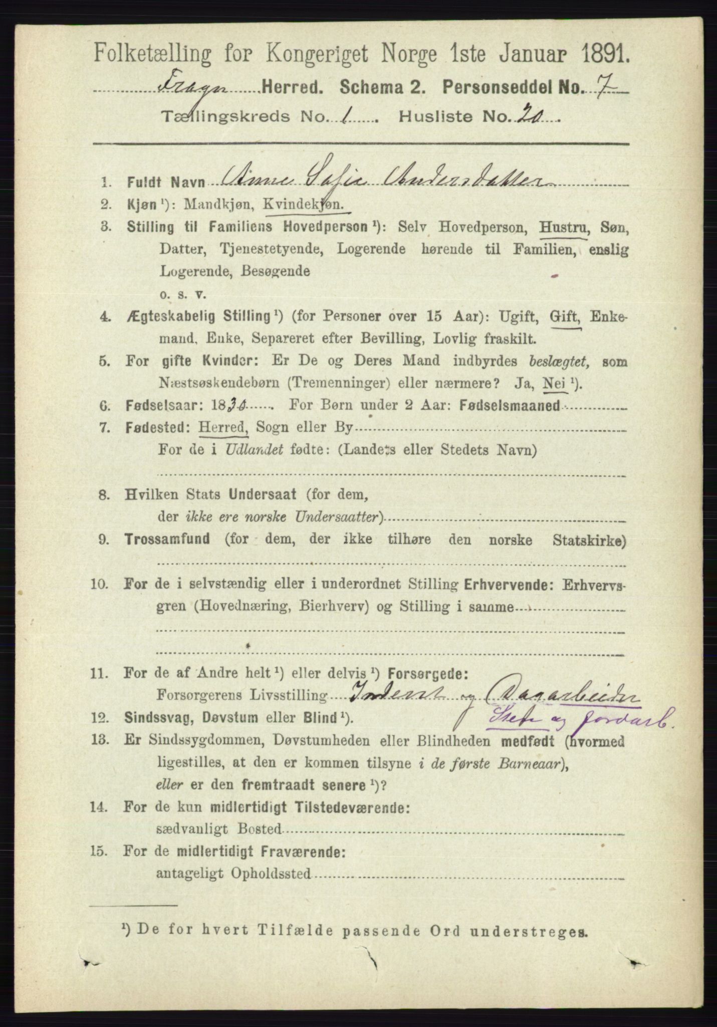 RA, 1891 census for 0215 Frogn, 1891, p. 250