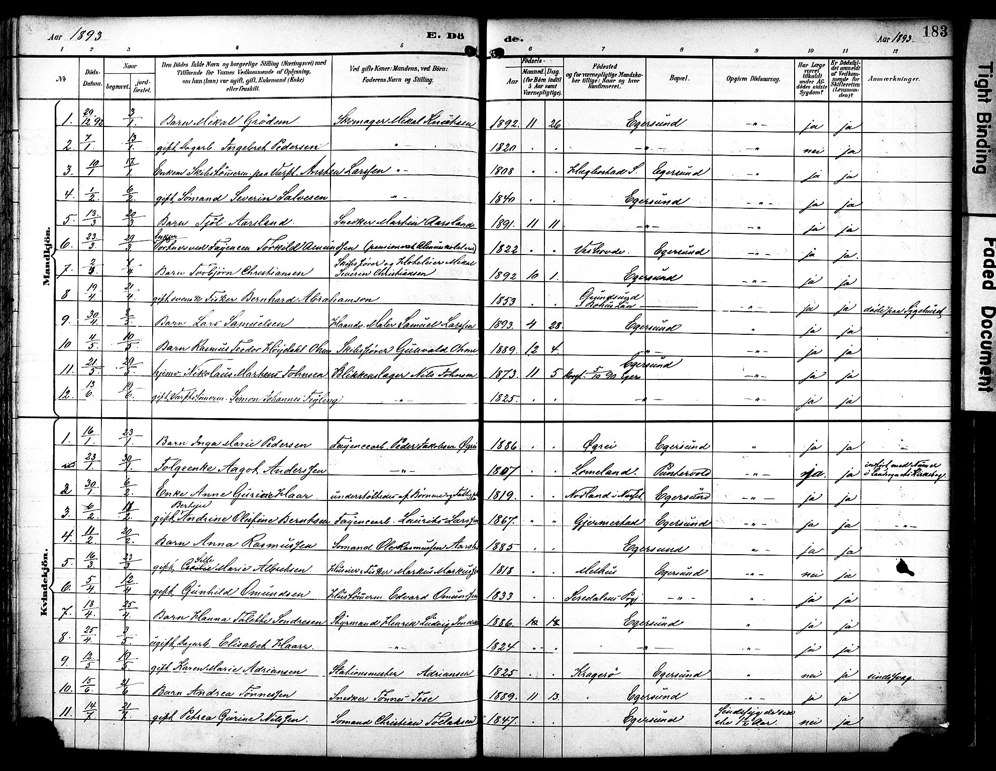 Eigersund sokneprestkontor, AV/SAST-A-101807/S08/L0019: Parish register (official) no. A 18, 1892-1905, p. 183