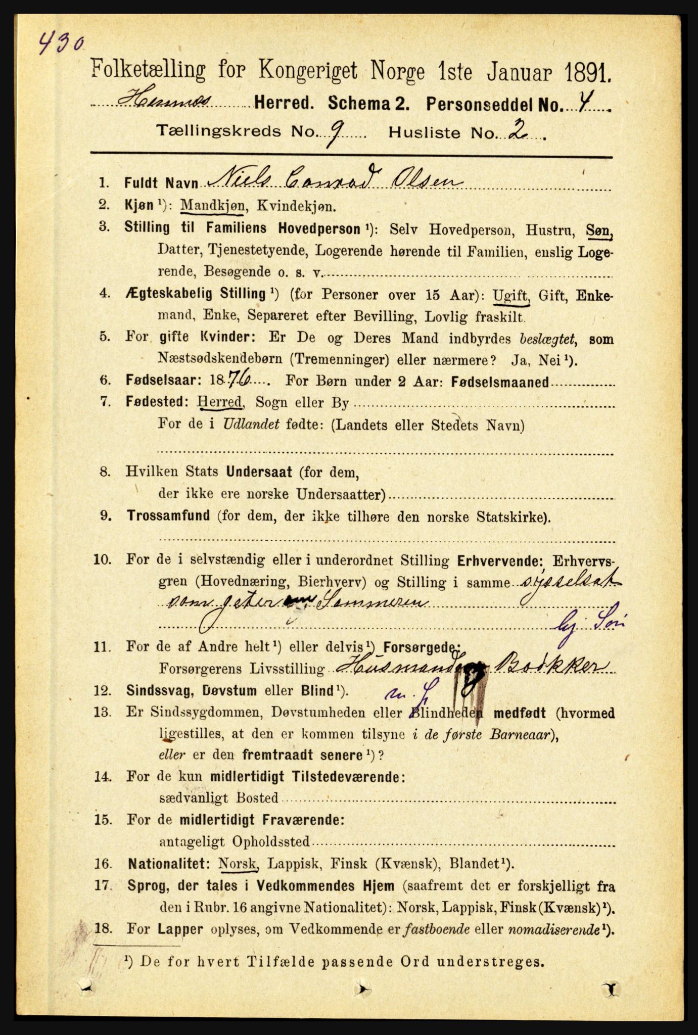 RA, 1891 census for 1832 Hemnes, 1891, p. 4324