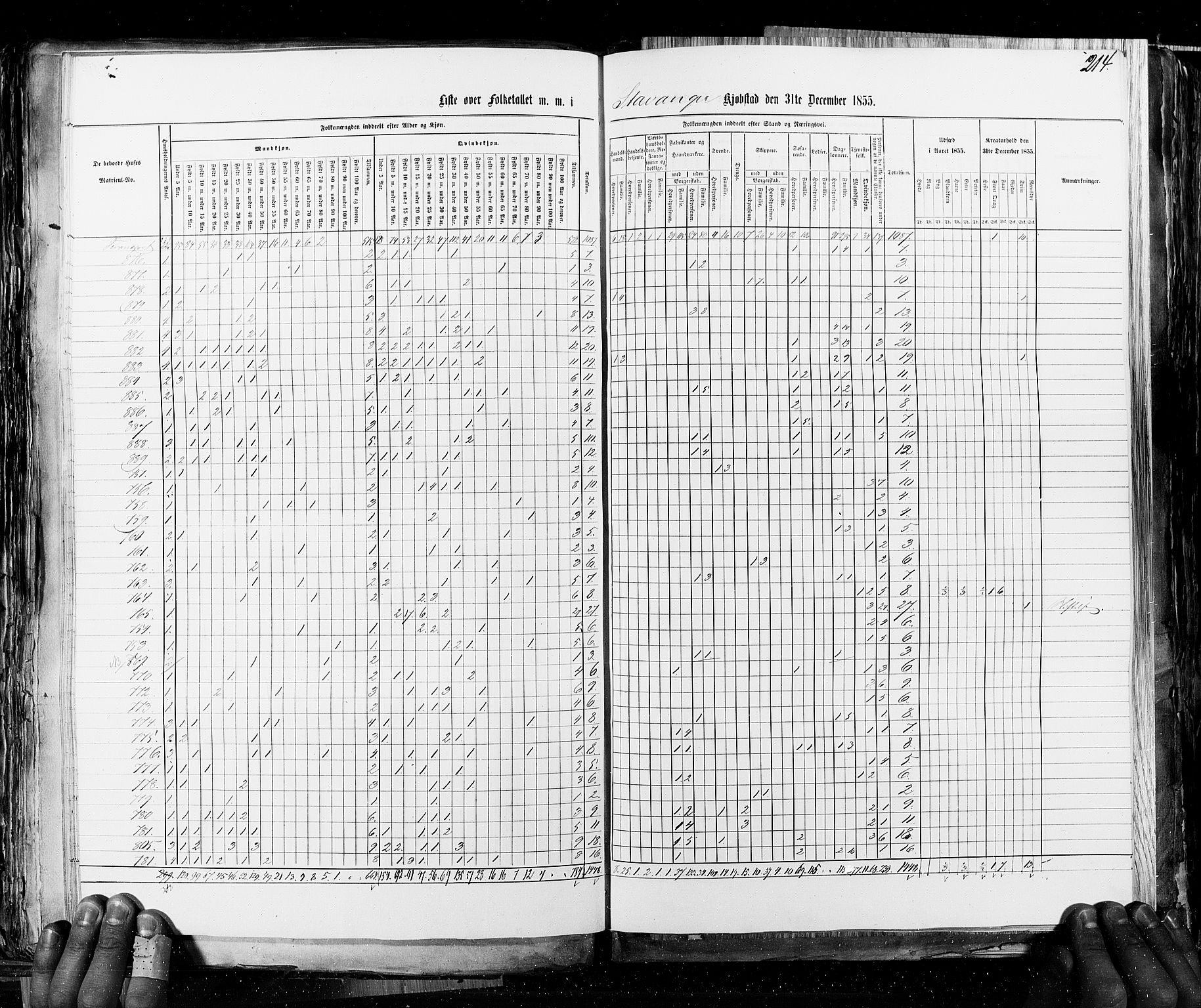 RA, Census 1855, vol. 8: Risør-Vadsø, 1855, p. 214