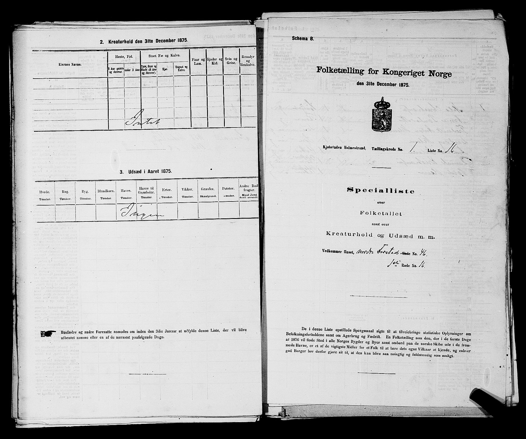 SAKO, 1875 census for 0702P Holmestrand, 1875, p. 110