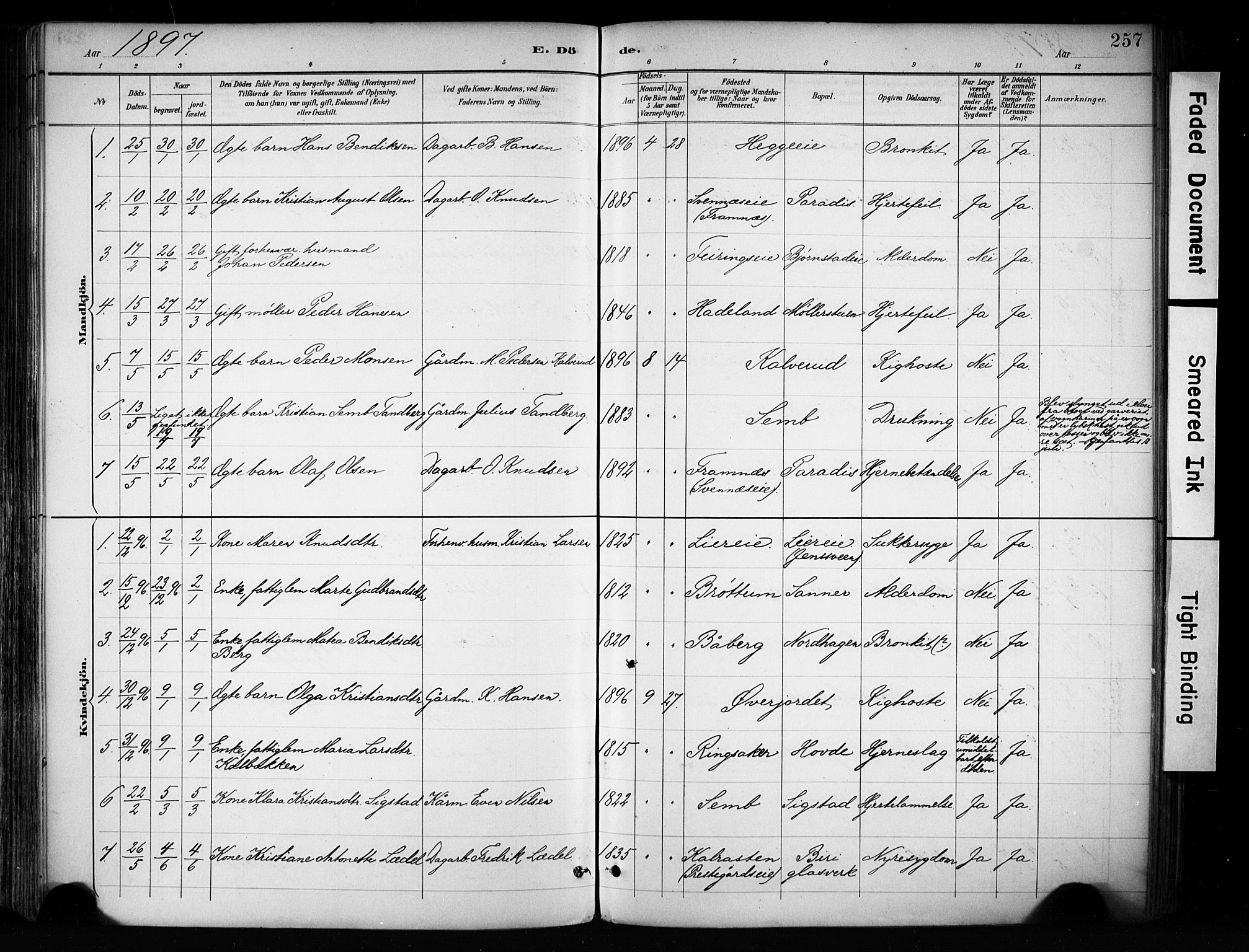 Biri prestekontor, SAH/PREST-096/H/Ha/Haa/L0009: Parish register (official) no. 9, 1887-1900, p. 257