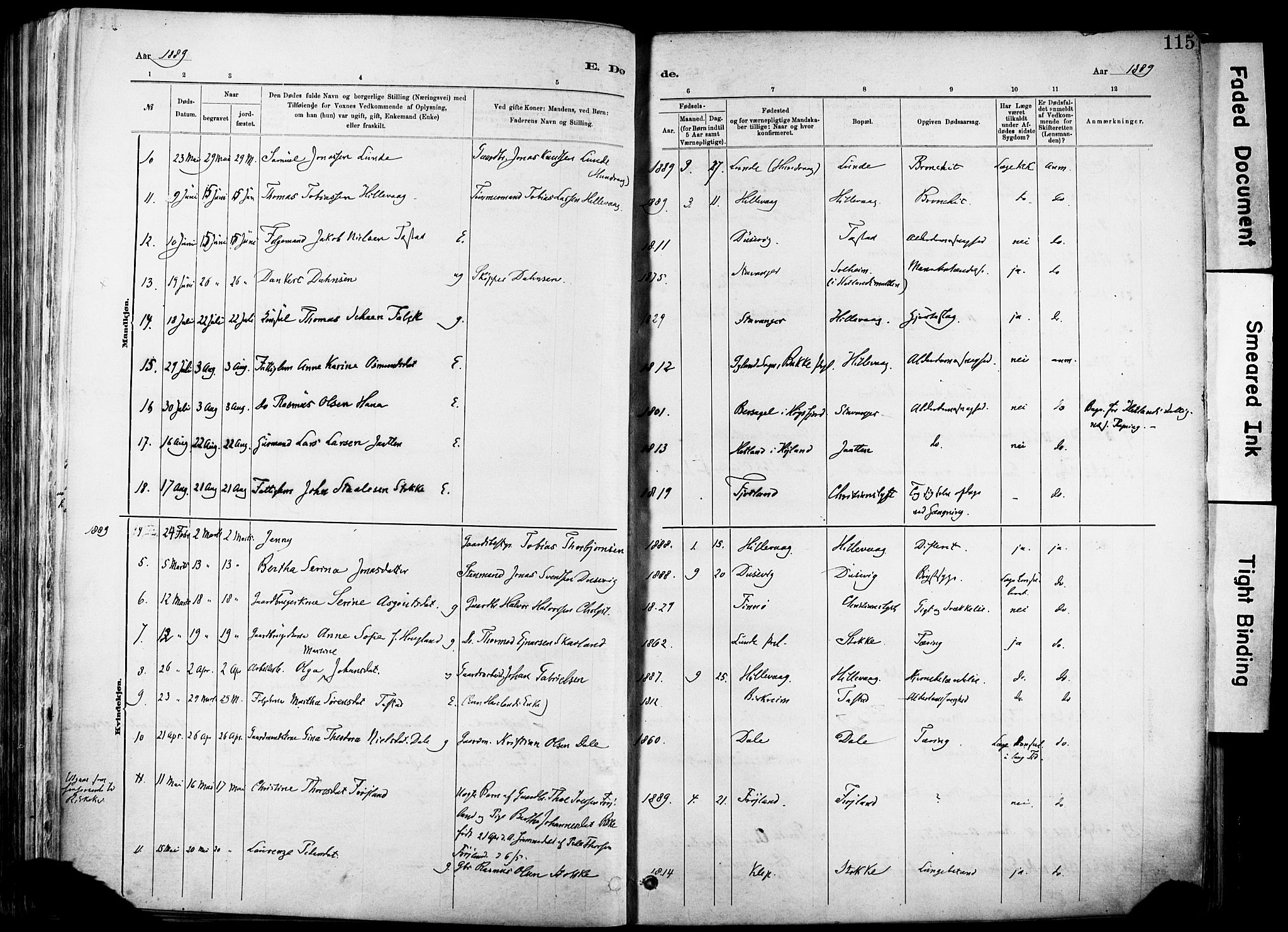 Hetland sokneprestkontor, SAST/A-101826/30/30BA/L0012: Parish register (official) no. A 12, 1882-1912, p. 115