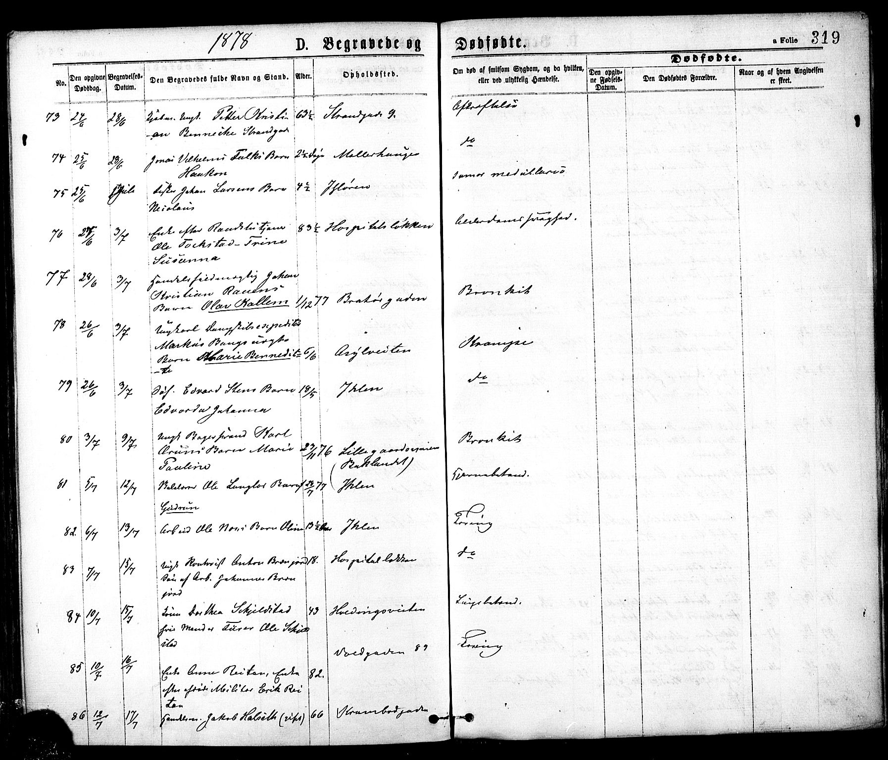 Ministerialprotokoller, klokkerbøker og fødselsregistre - Sør-Trøndelag, AV/SAT-A-1456/602/L0118: Parish register (official) no. 602A16, 1873-1879, p. 319