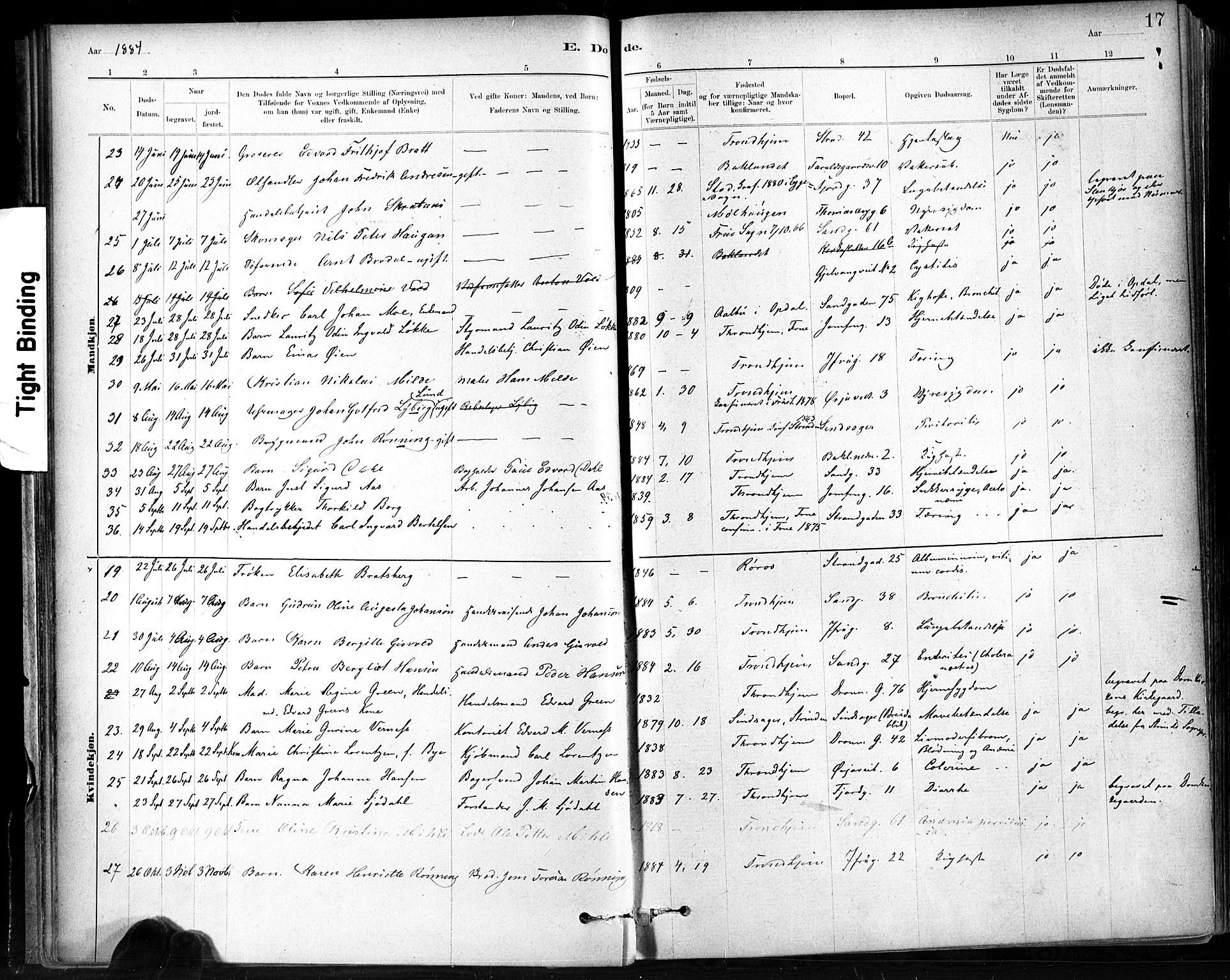 Ministerialprotokoller, klokkerbøker og fødselsregistre - Sør-Trøndelag, SAT/A-1456/602/L0120: Parish register (official) no. 602A18, 1880-1913, p. 17