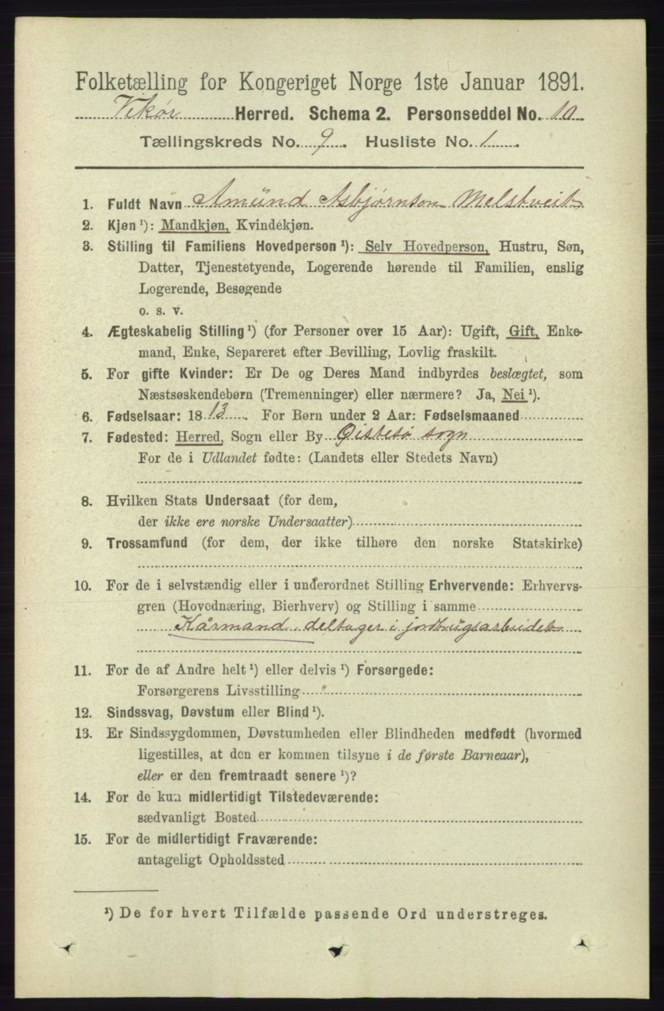 RA, 1891 census for 1238 Vikør, 1891, p. 2668