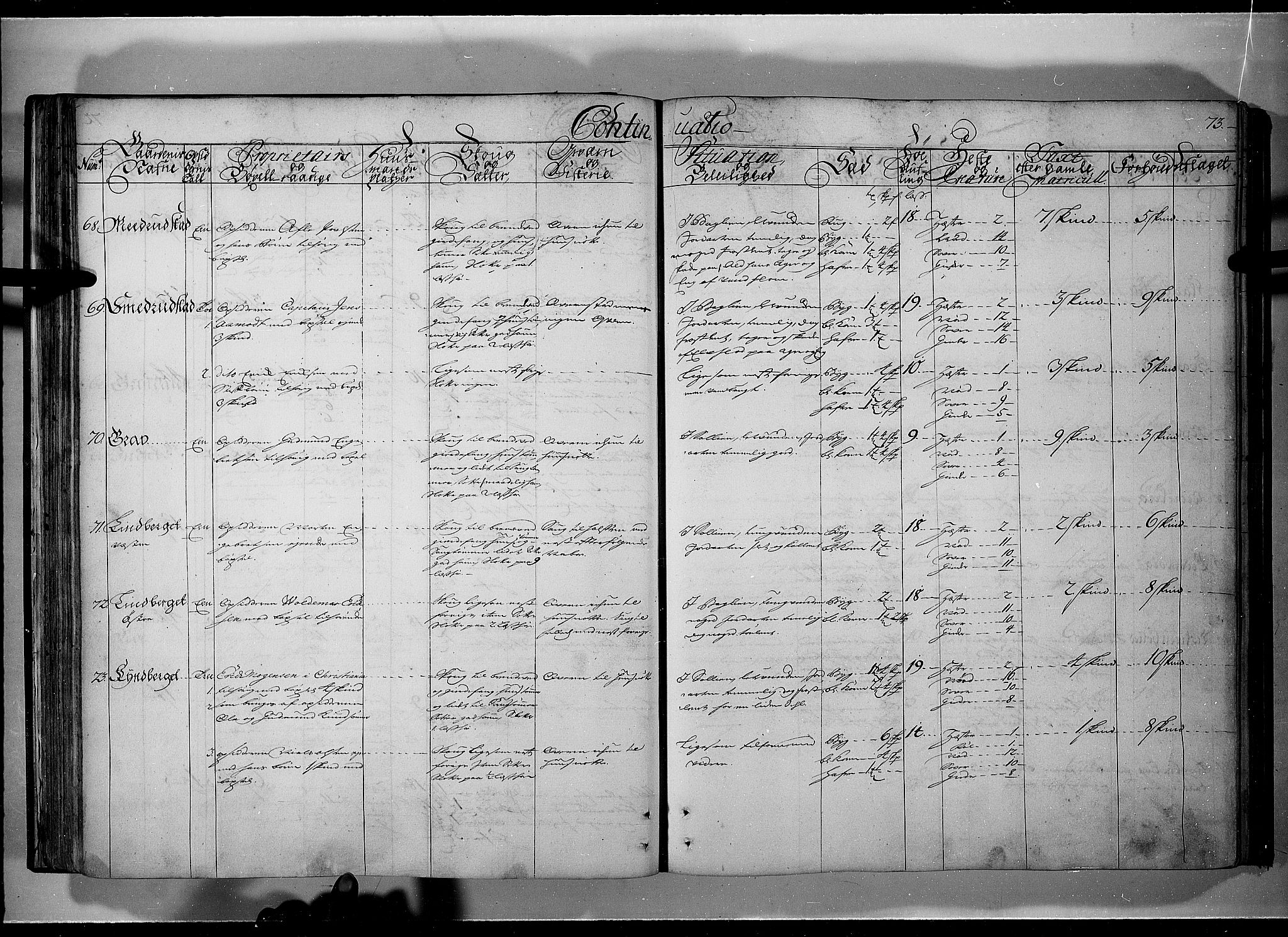 Rentekammeret inntil 1814, Realistisk ordnet avdeling, AV/RA-EA-4070/N/Nb/Nbf/L0101: Solør, Østerdalen og Odal eksaminasjonsprotokoll, 1723, p. 72b-73a