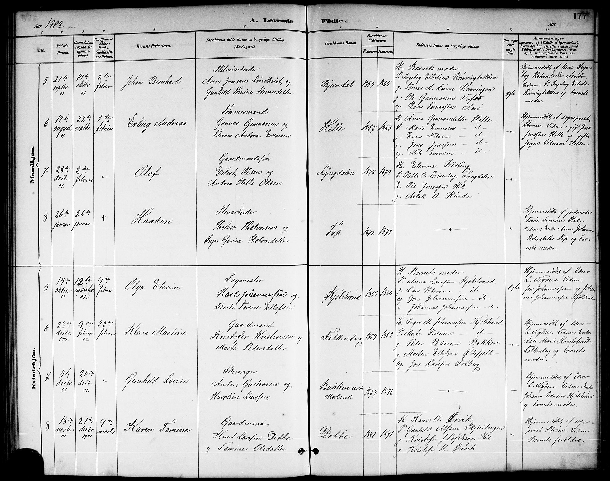Sannidal kirkebøker, SAKO/A-296/G/Ga/L0003: Parish register (copy) no. 3, 1887-1922, p. 177