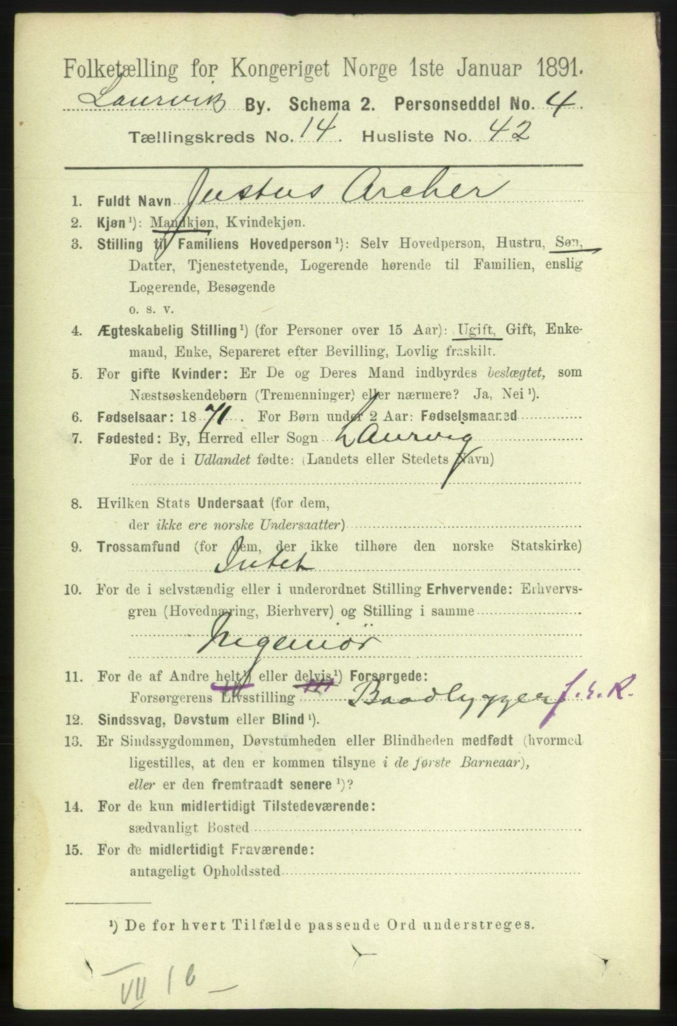 RA, 1891 census for 0707 Larvik, 1891, p. 11321