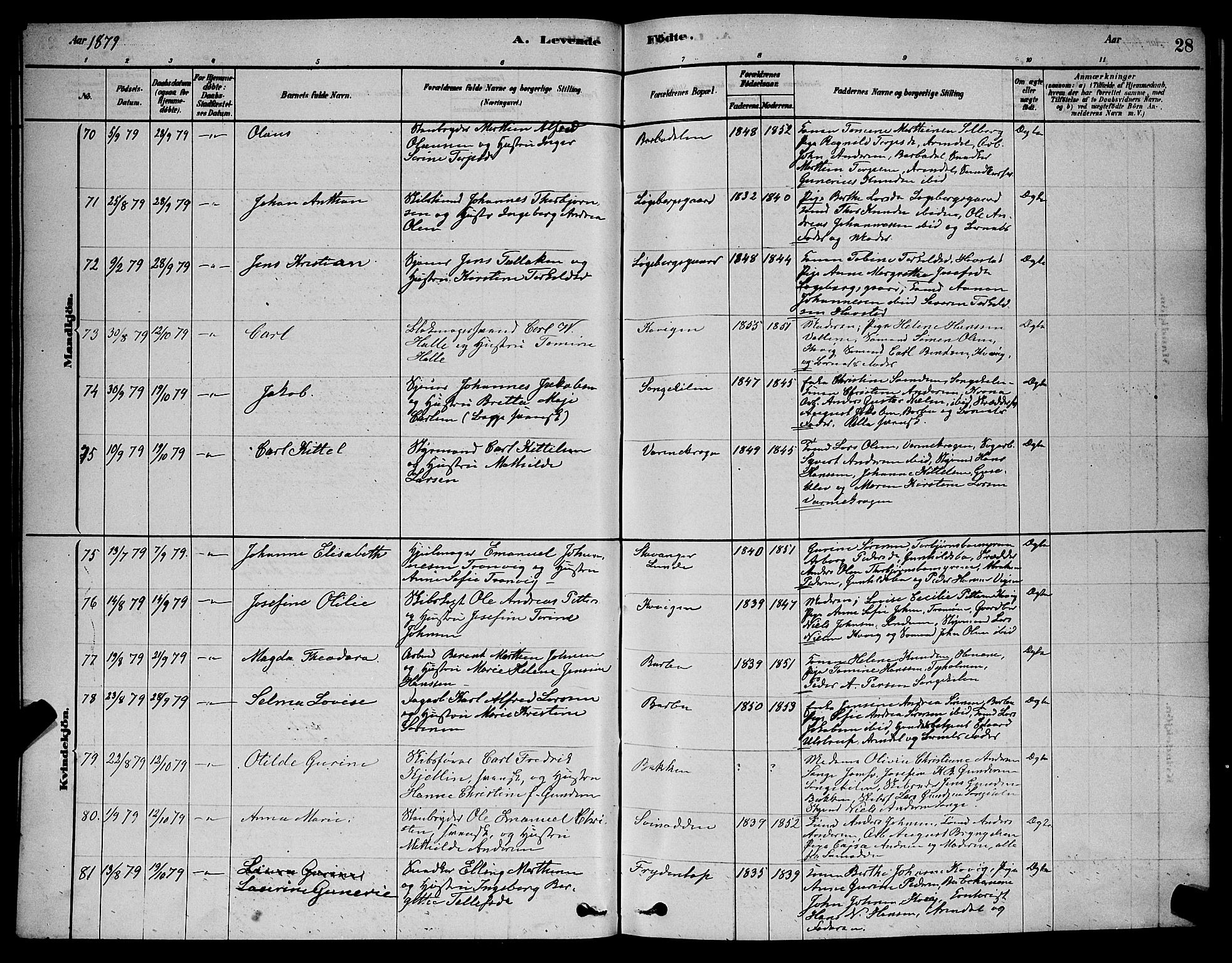 Barbu sokneprestkontor, AV/SAK-1111-0003/F/Fb/L0001: Parish register (copy) no. B 1, 1878-1890, p. 28