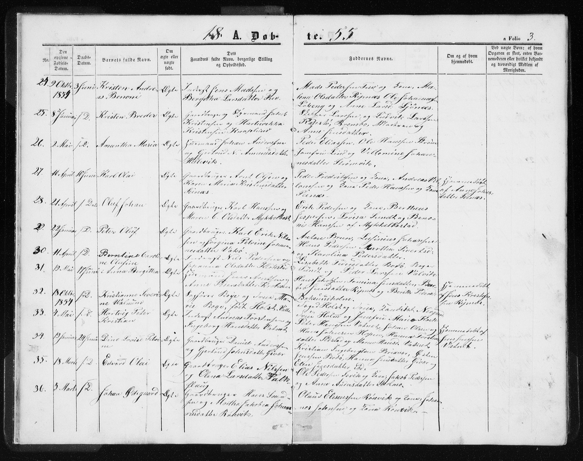 Ministerialprotokoller, klokkerbøker og fødselsregistre - Nordland, AV/SAT-A-1459/801/L0028: Parish register (copy) no. 801C03, 1855-1867, p. 3