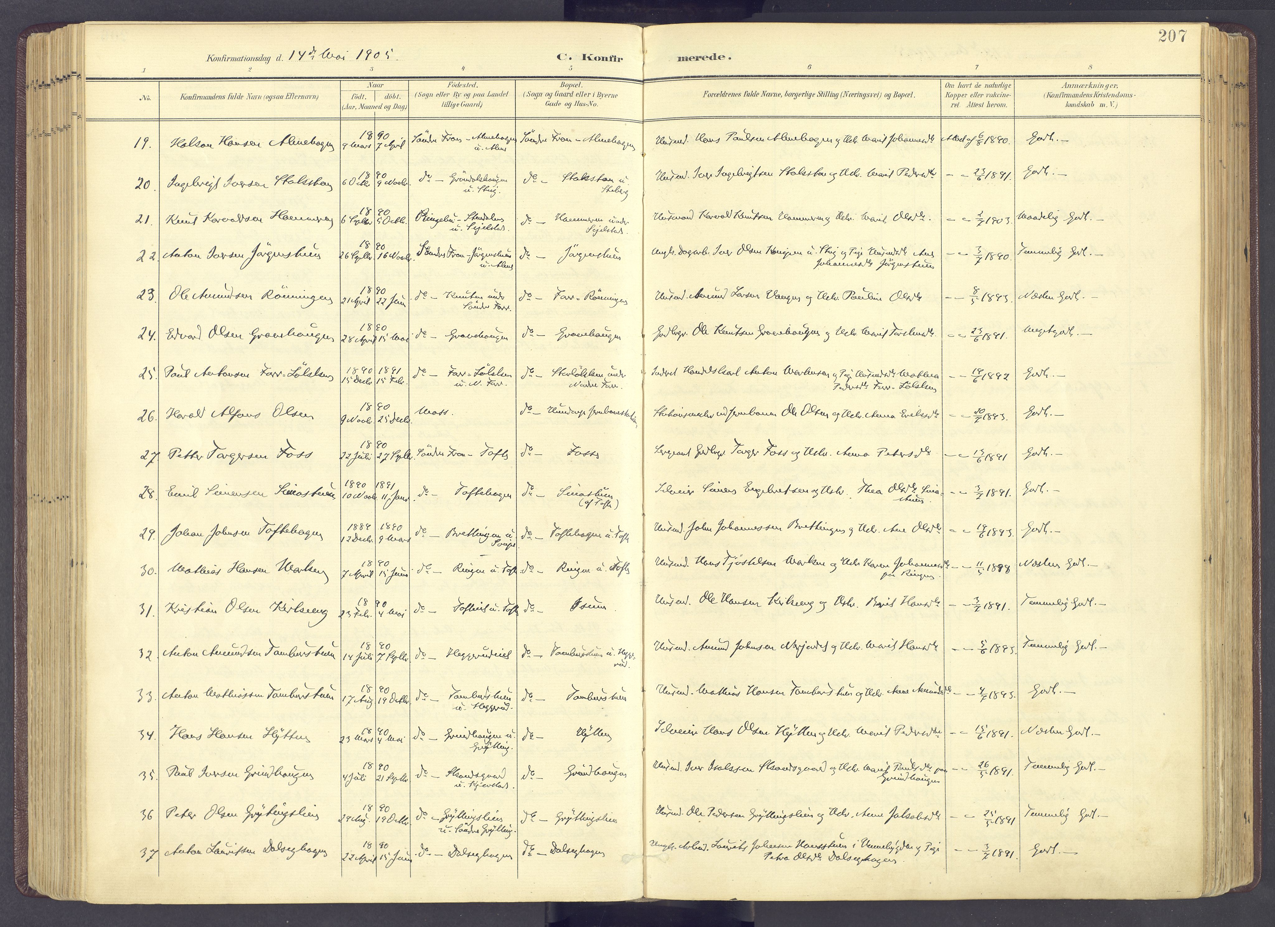 Sør-Fron prestekontor, AV/SAH-PREST-010/H/Ha/Haa/L0004: Parish register (official) no. 4, 1898-1919, p. 207