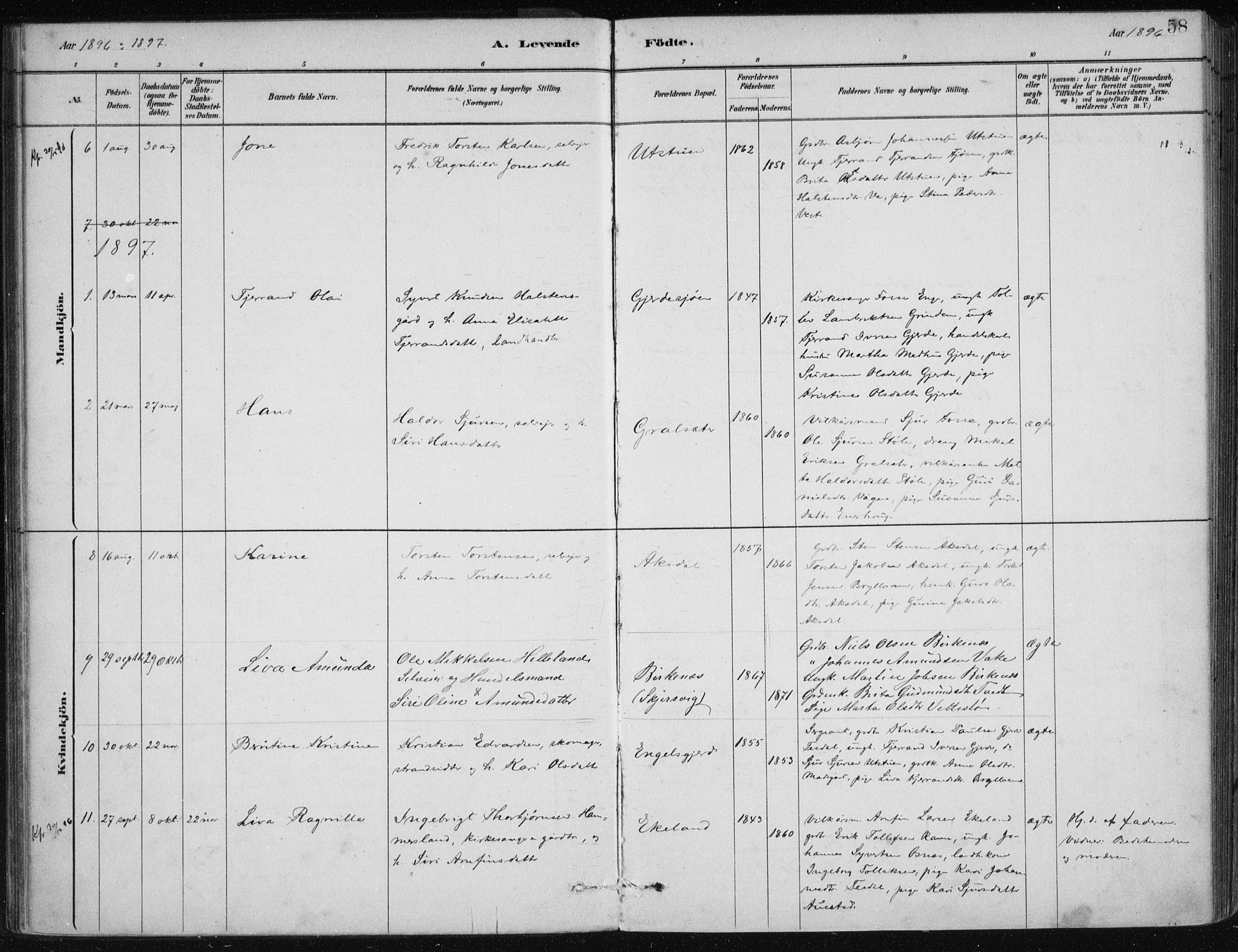 Etne sokneprestembete, AV/SAB-A-75001/H/Haa: Parish register (official) no. C  1, 1879-1919, p. 58