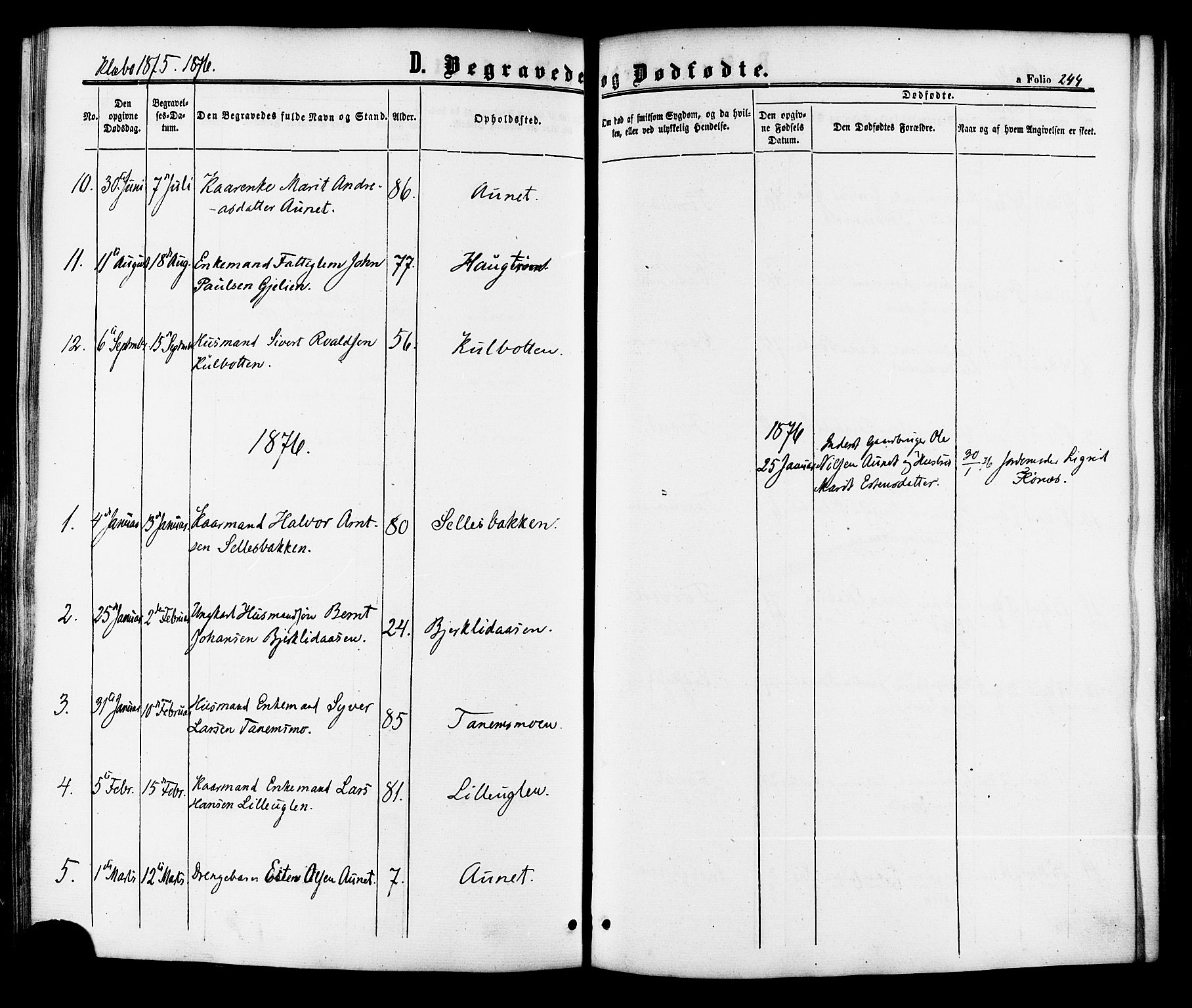 Ministerialprotokoller, klokkerbøker og fødselsregistre - Sør-Trøndelag, AV/SAT-A-1456/618/L0442: Parish register (official) no. 618A06 /1, 1863-1879, p. 244