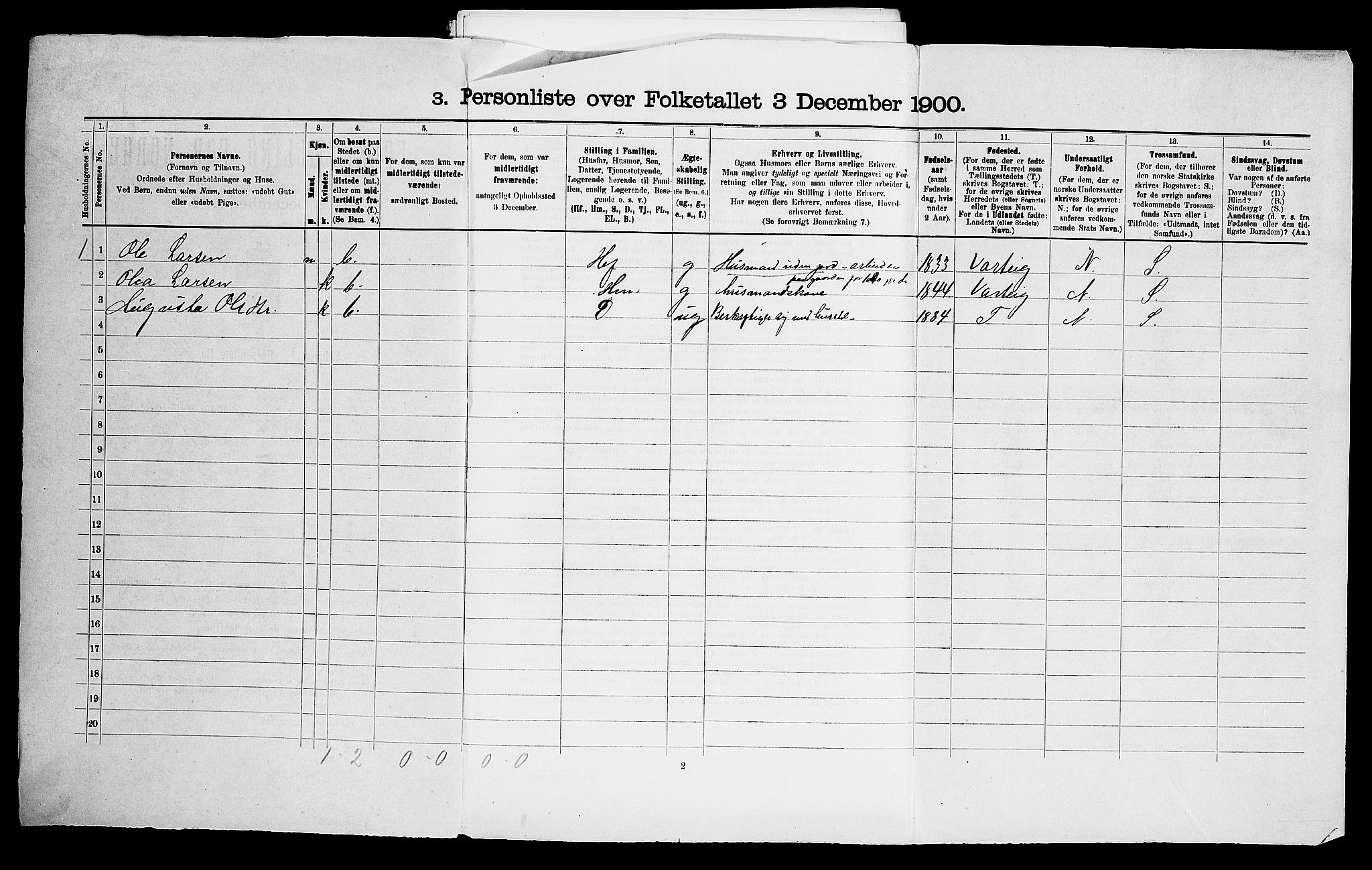 SAO, 1900 census for Skjeberg, 1900, p. 919