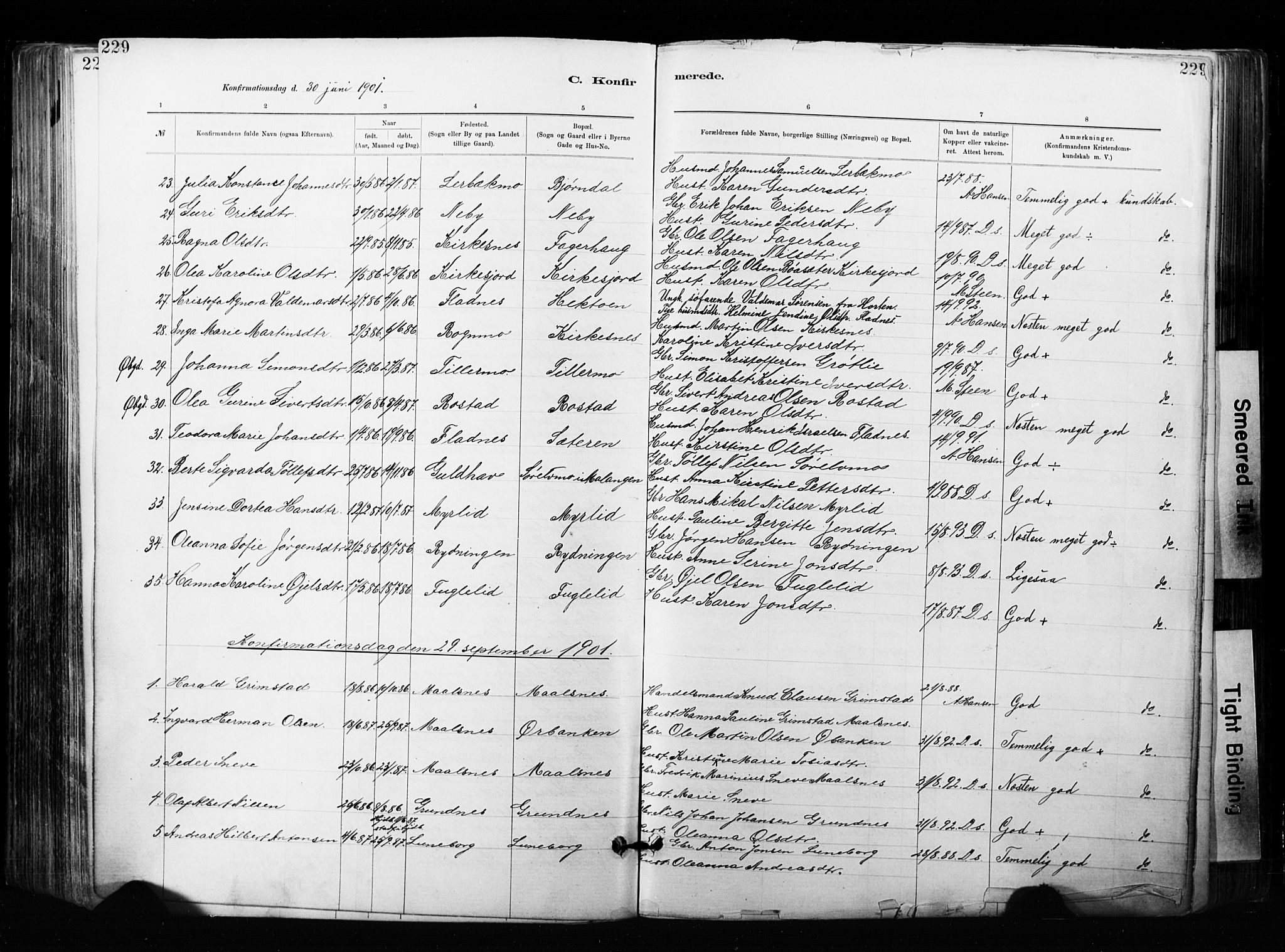 Målselv sokneprestembete, SATØ/S-1311/G/Ga/Gaa/L0007kirke: Parish register (official) no. 7, 1884-1903, p. 229