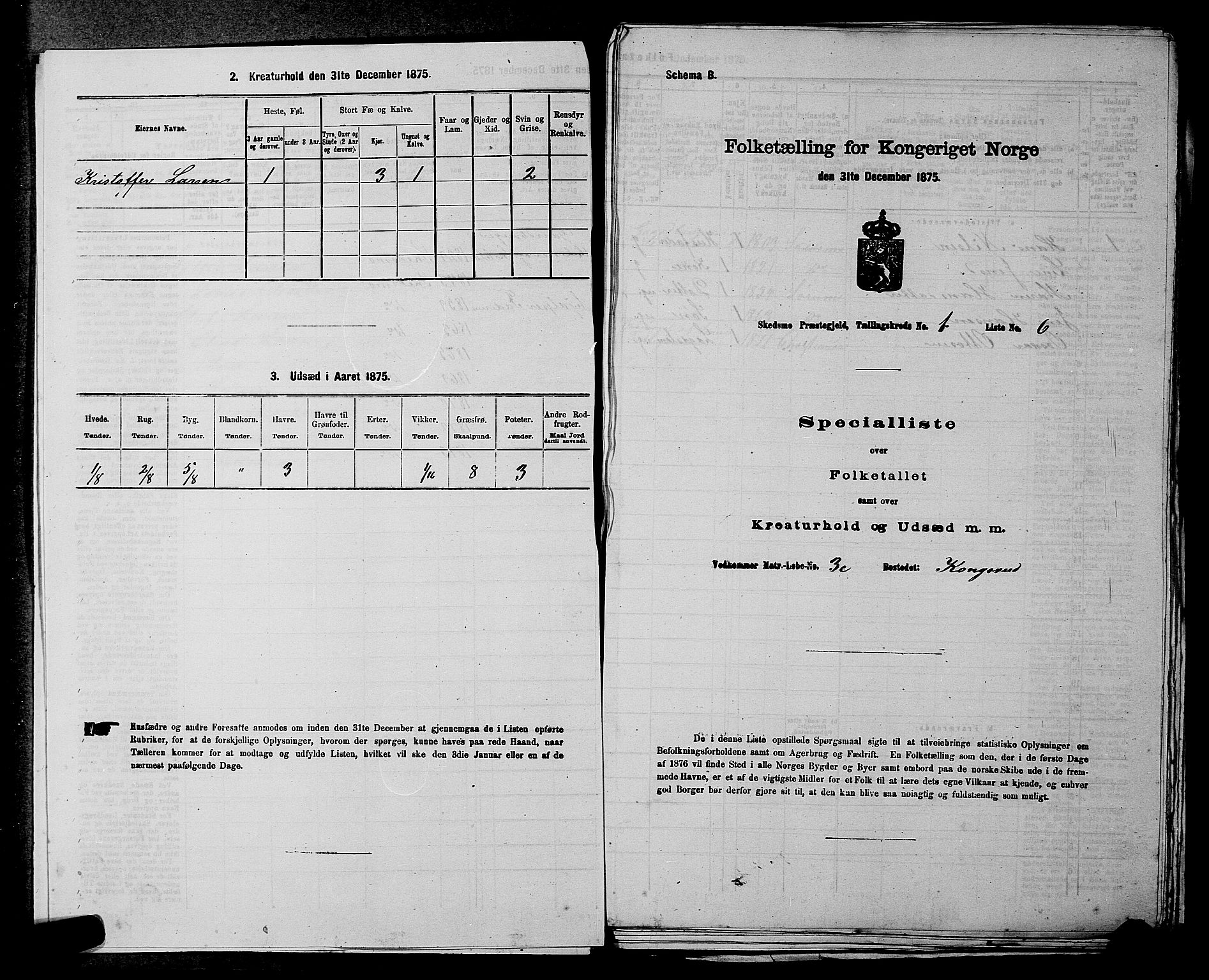 RA, 1875 census for 0231P Skedsmo, 1875, p. 52