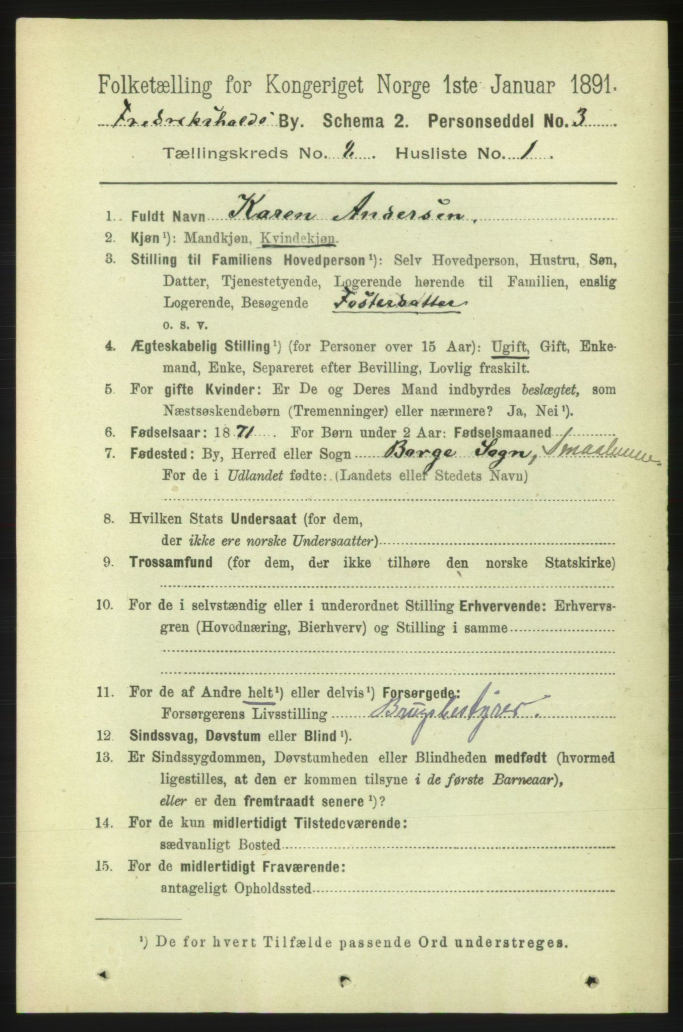 RA, 1891 census for 0101 Fredrikshald, 1891, p. 5420