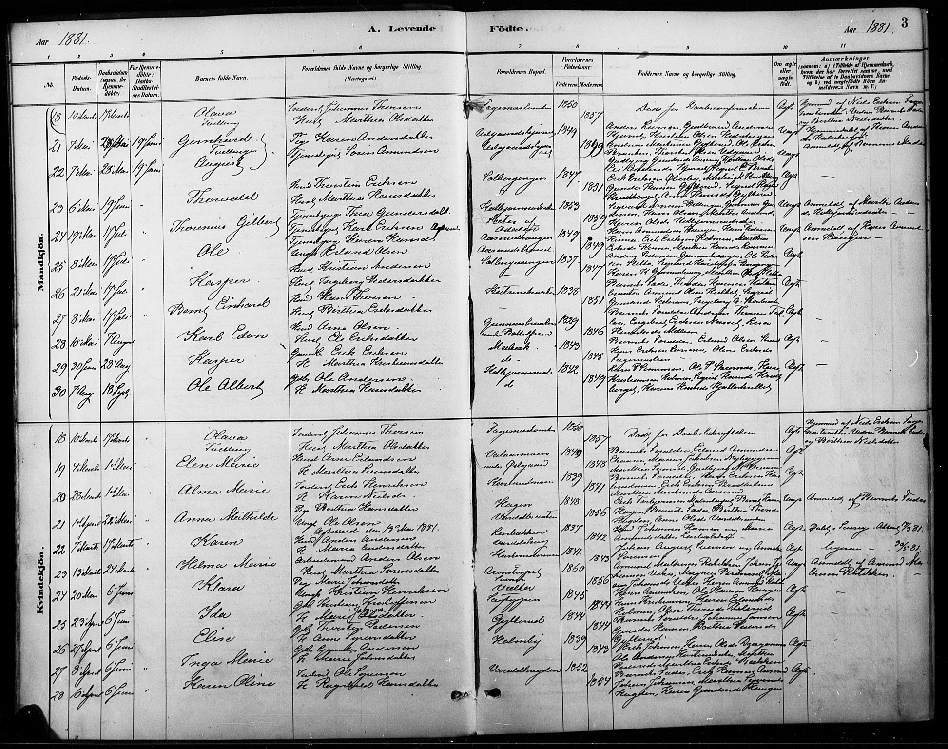 Vinger prestekontor, AV/SAH-PREST-024/H/Ha/Haa/L0015: Parish register (official) no. 15, 1881-1900, p. 3